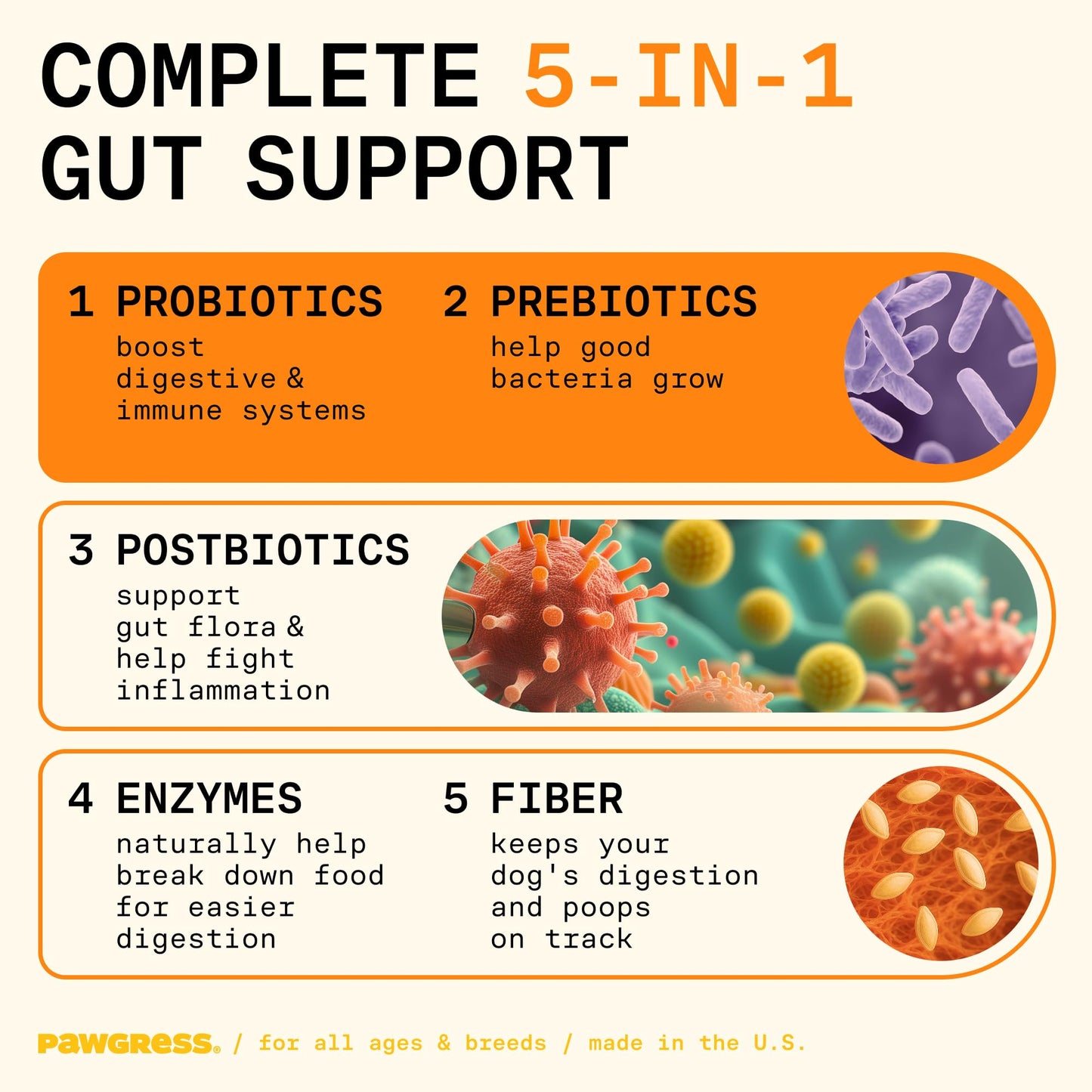 Pawgress 5-in-1 Dog Probiotic Powder – 100% Natural Gut Health Support with Prebiotics, Postbiotics & Enzymes – Crafted by Dog Nutritionist Kayla Kowalski, Made in USA – 30 Scoops