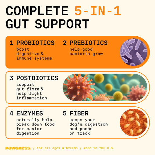 Pawgress 5-in-1 Dog Probiotic Powder – 100% Natural Gut Health Support with Prebiotics, Postbiotics & Enzymes – Crafted by Dog Nutritionist Kayla Kowalski, Made in USA – 30 Scoops