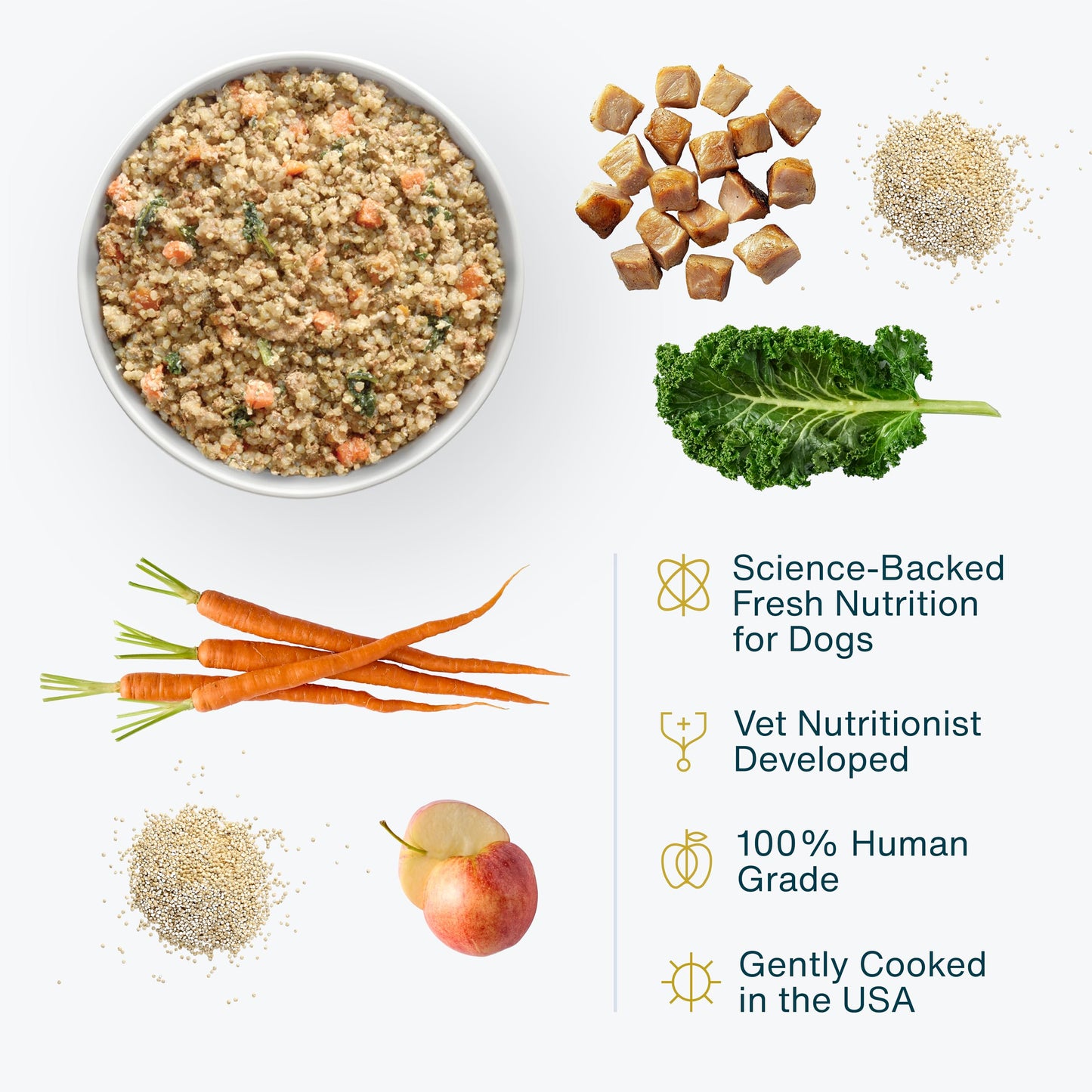 JustFoodForDogs Frozen Fresh Dog Food for Sensitive Skin Allergies, Joint Health, Complete Meal or Human Grade Dog Food Topper, Joint & Skin Support, 18 oz (Pack of 7)