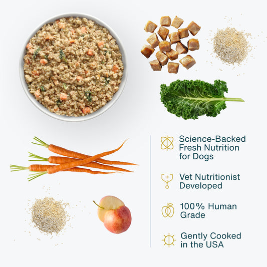 JustFoodForDogs Frozen Fresh Dog Food for Sensitive Skin Allergies, Joint Health, Complete Meal or Human Grade Dog Food Topper, Joint & Skin Support, 18 oz (Pack of 7)