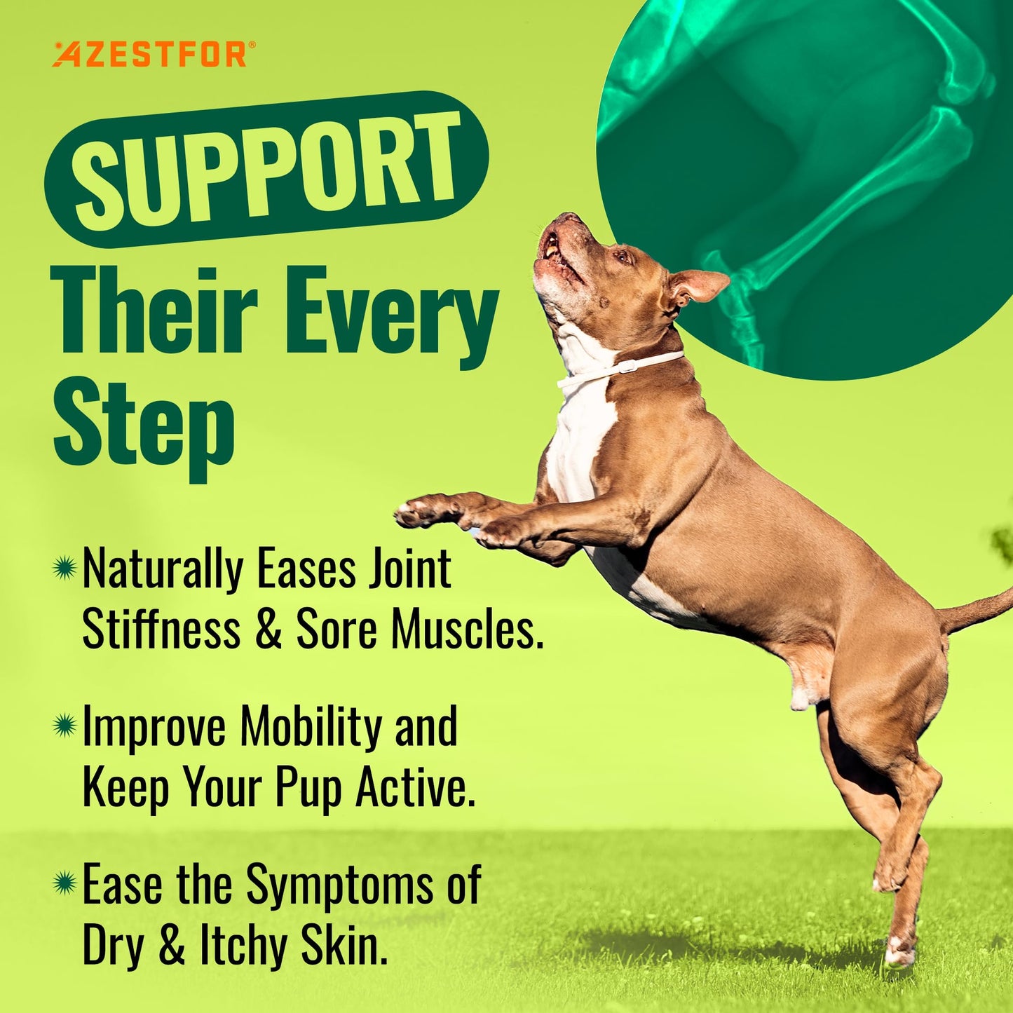 Azestfor Anti-Inflammatory Green Lipped Mussel for Dogs Powder