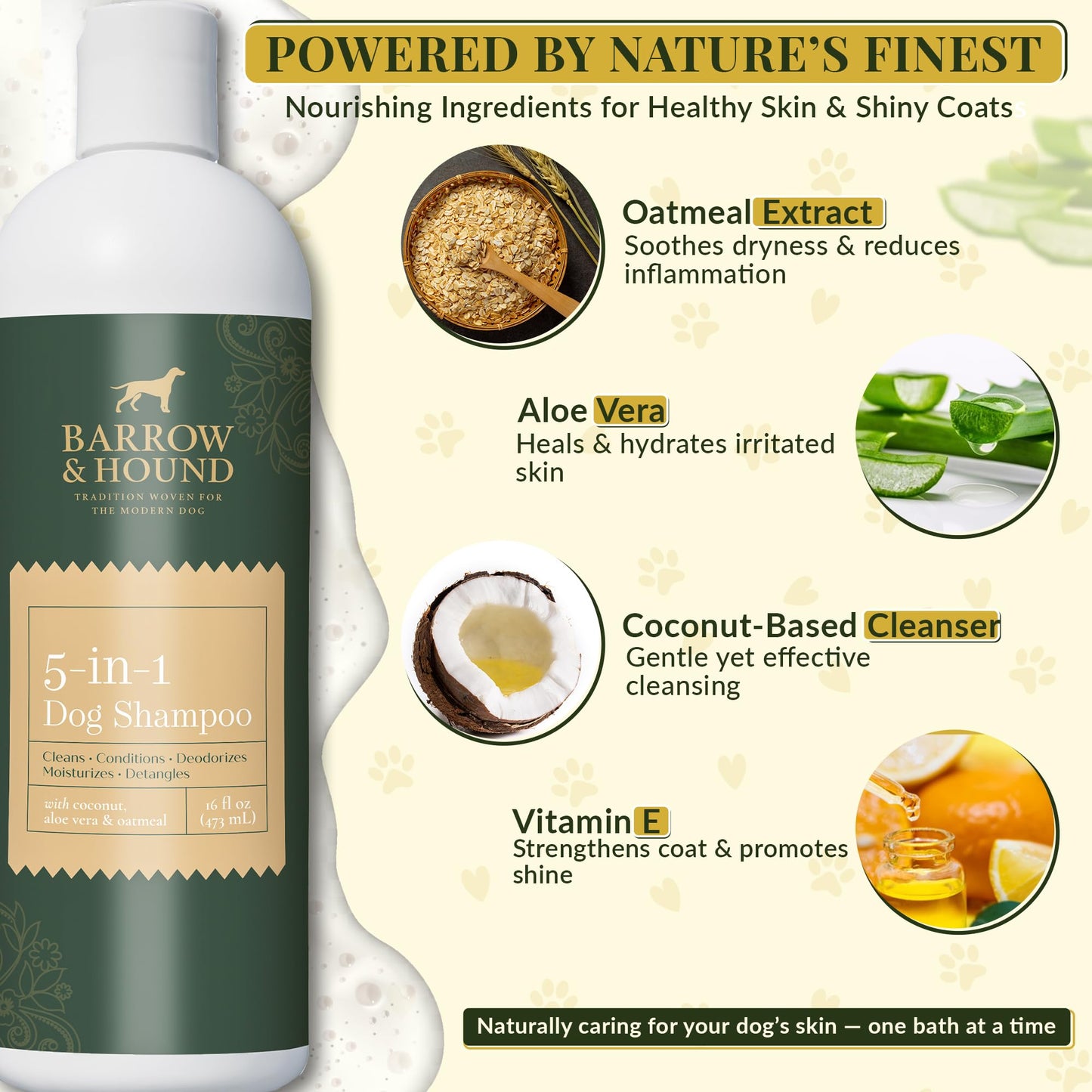 Barrow & Hound 5-in-1 Dog Shampoo & Conditioner – Natural, Tear-Free, Hypoallergenic Formula for Itchy & Smelly Dogs | Oatmeal, Aloe & Coconut | Safe for Puppies & All Breeds | Made in USA
