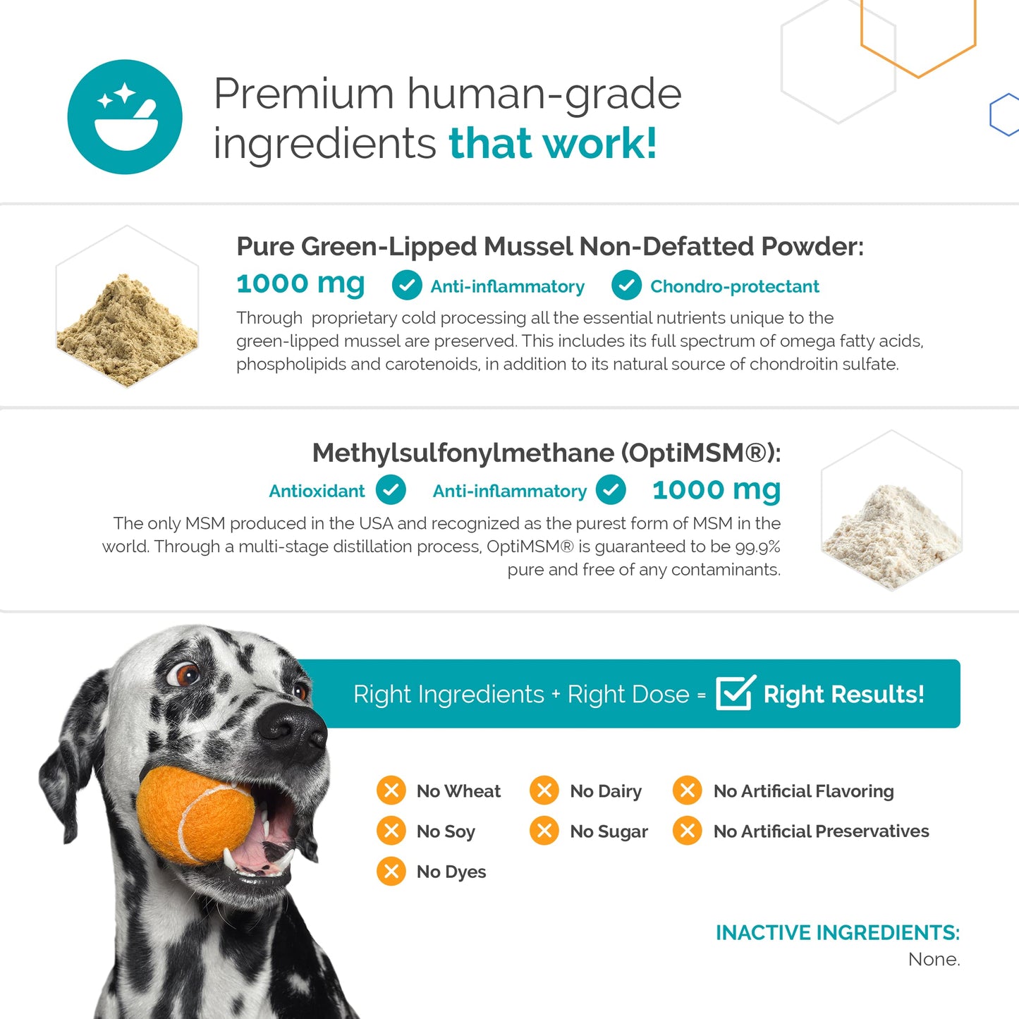 Flexerna Essentials Powder - Joint Supplement for Dogs - New Zealand Green Lipped Mussels for Dogs with MSM - Omega 3 Supplement with Glucosamine Chondroitin - A Whole Food Dog Joint Supplement Powder