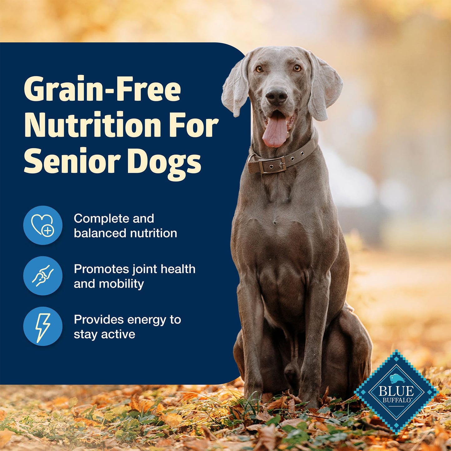 Blue Buffalo Freedom Grain-Free Senior Wet Dog Food, Free of Glutens & Artificial Preservatives, Made With Natural Ingredients, Chicken Recipe, 12.5-oz. Cans (12 Count)