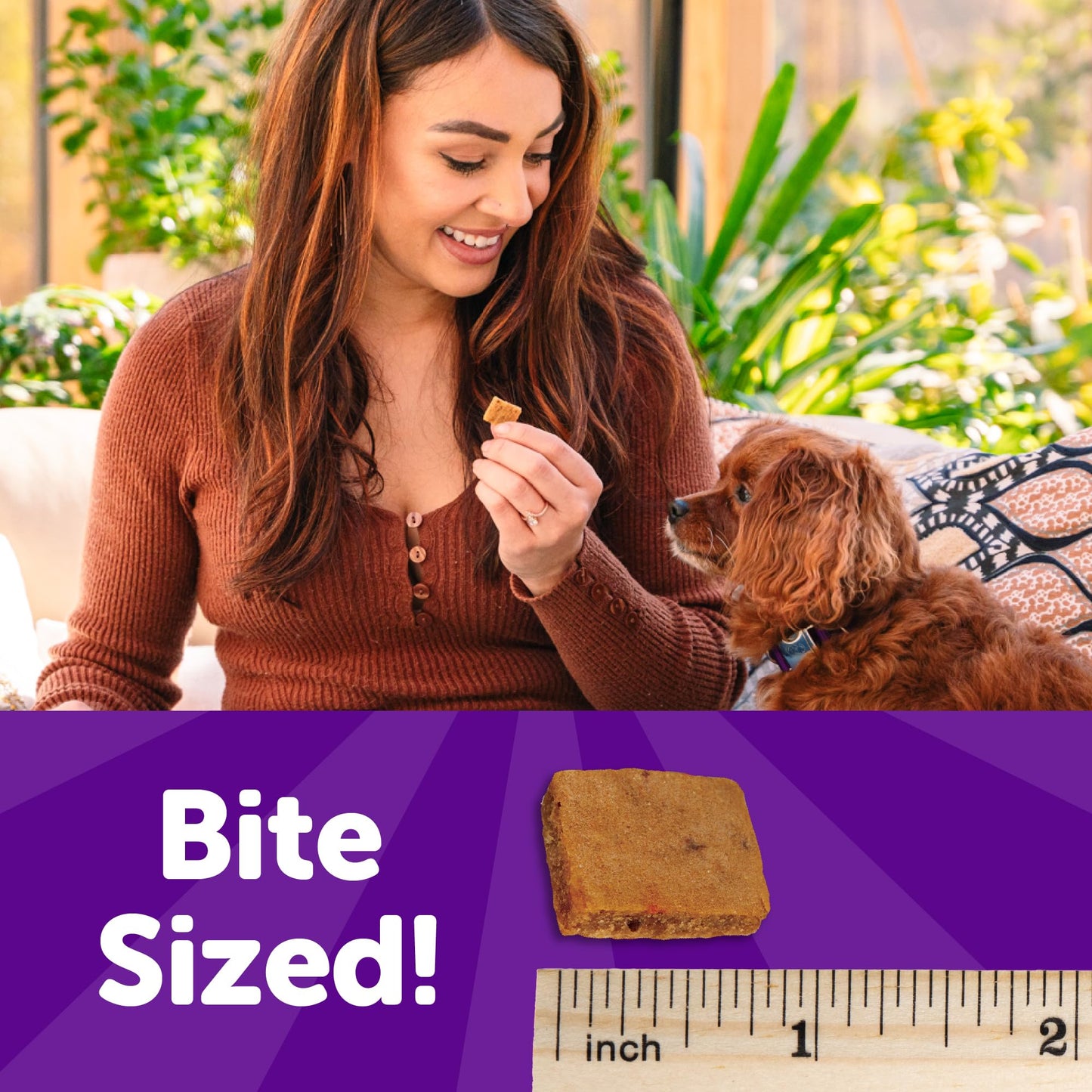 Wellness Puppy Treats, Natural, Training Treat, Grain Free, Soft Lamb & Salmon (3 Ounce Bag)