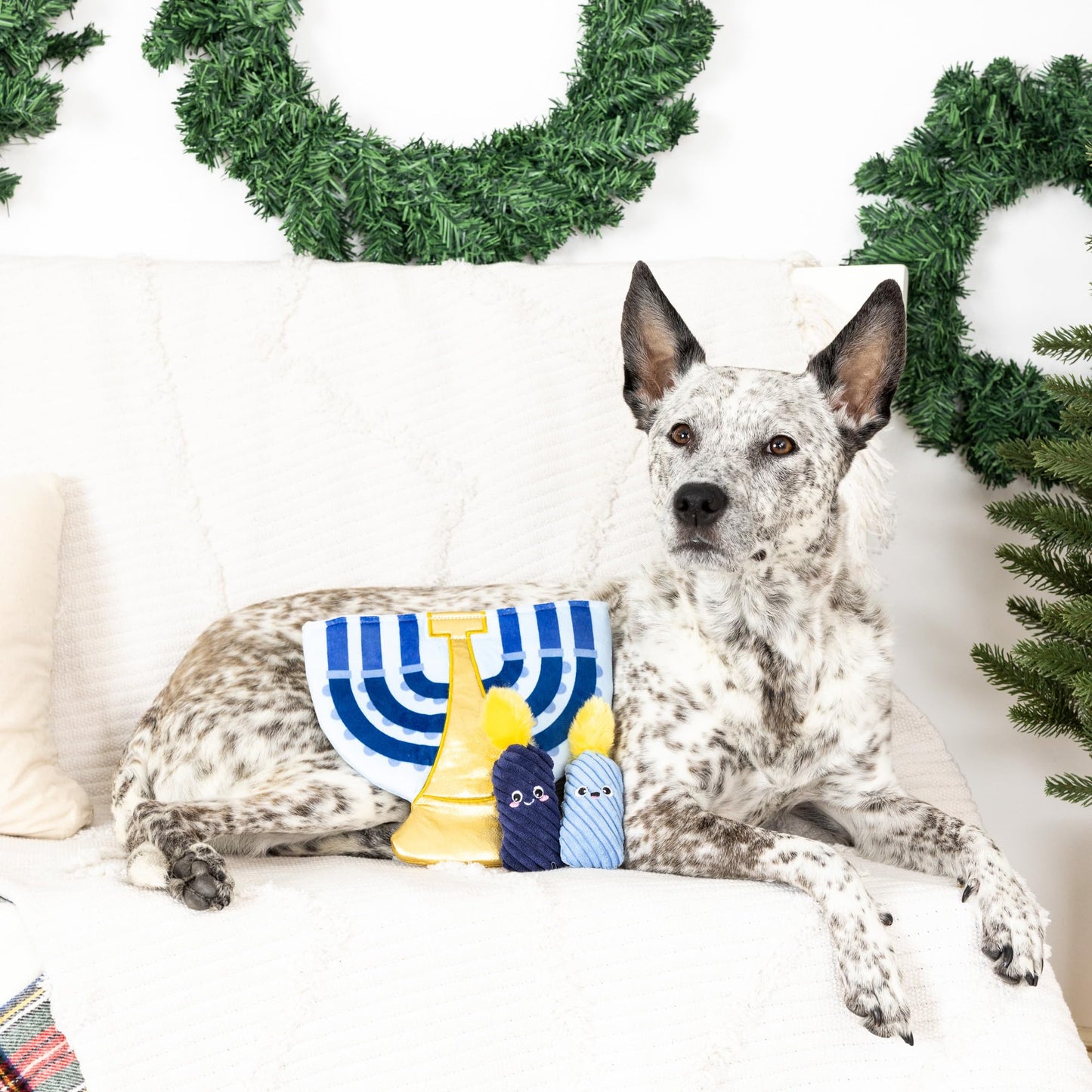 Fringe Studio Plush Dog Toy Burrow Set, A Lit Hanukkah, Hide & Seek Interactive Puzzle Toy, Pet Shop Collection (289241)