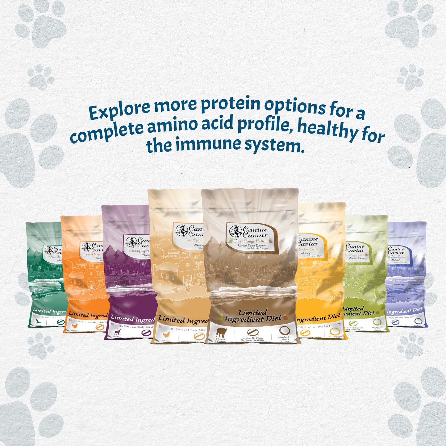 Canine Caviar - Special Needs: Chicken & Brown Rice Alkaline Dry Dog Food, Limited Ingredients, Gluten-Free, Based on Science & Research, Veterinary Alternative Diet (11 Pound Bag)