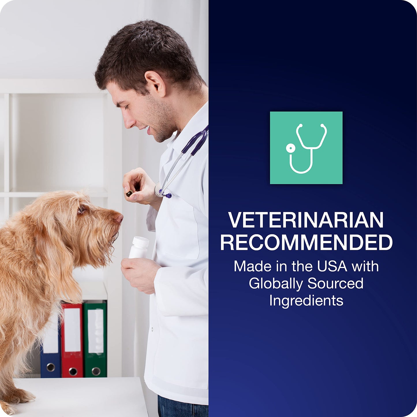 VetIQ Pill Treats Advanced Formula for Dogs, Chicken Flavor Soft Chews, Made in The USA, 30 Count (Pack of 2)