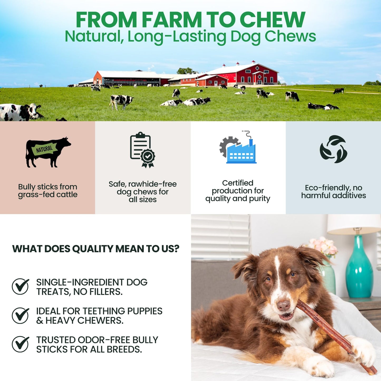 Thin 6” Bully Sticks for Dogs - 10 Count - 100% Natural, Odor Free Grass-Fed Beef Pizzle Sticks for Dogs - Fully Digestible, Rawhide Puppy Bully Sticks for Small & Medium Dog - Free Ear Wipes