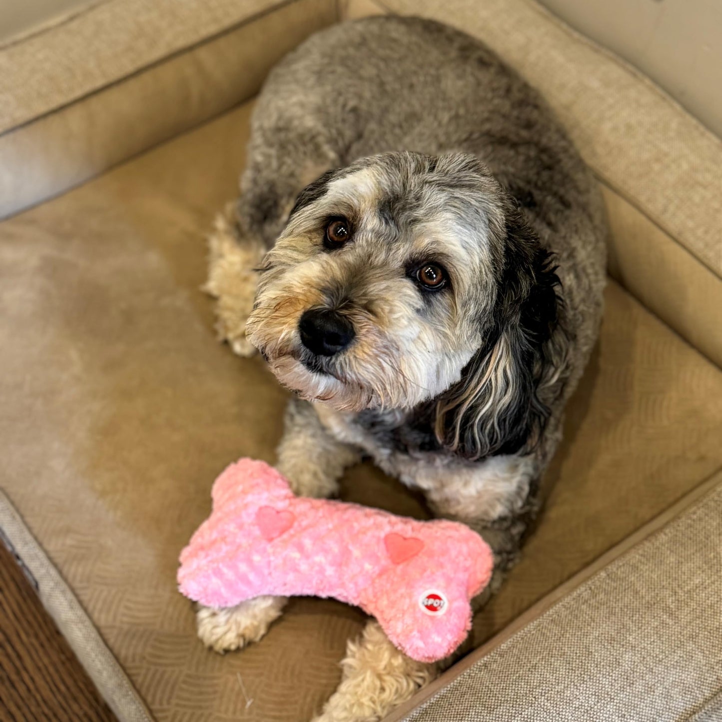 SPOT Soothers Warm Hug Bone - Calming Plush Dog Toy with Lavender Scented Beads, Removable Squeaker, Microwavable Warming Pouch, Separation Anxiety Relief, for Small to Medium Dogs and Puppies, 9in