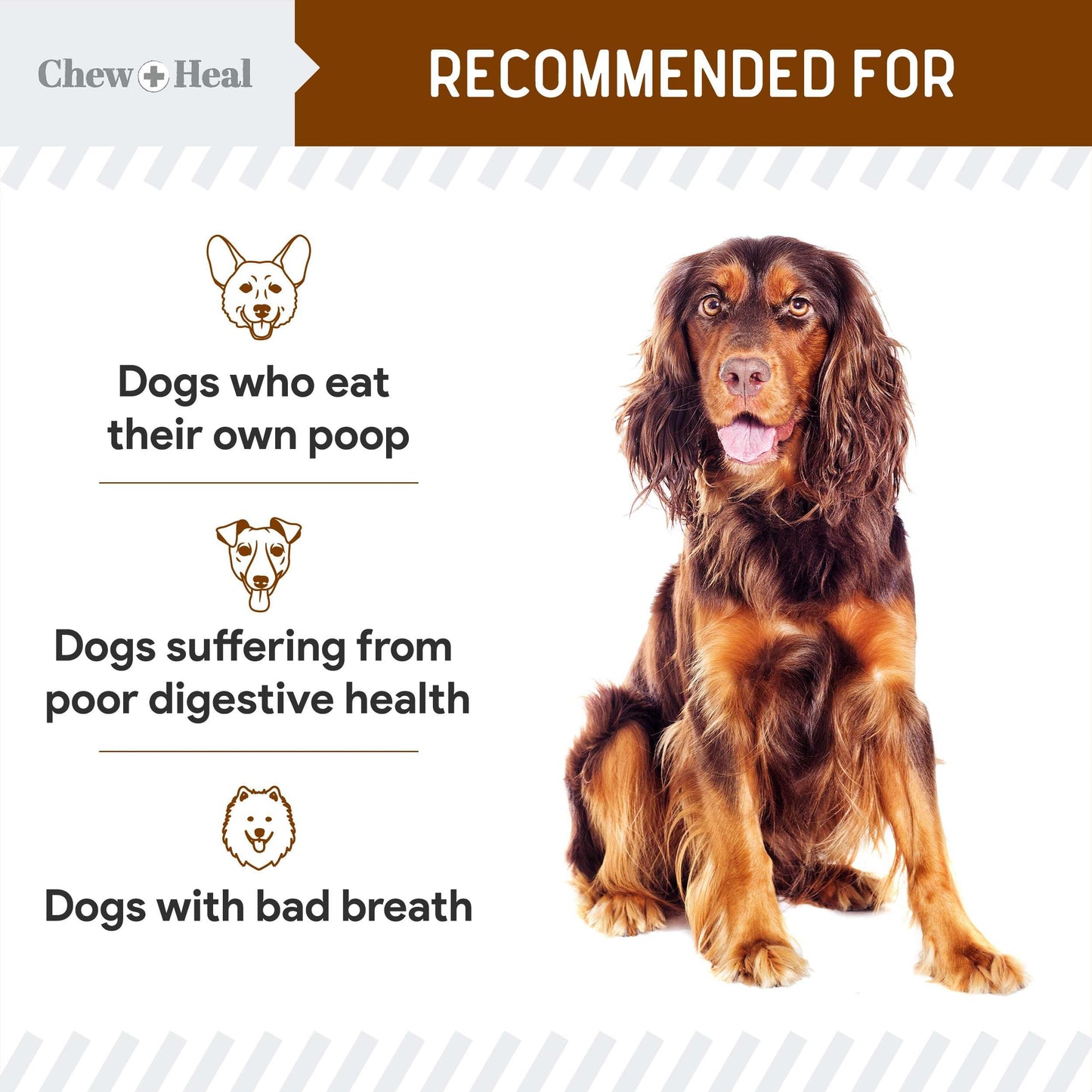 No Poo Chews for Dogs, 120 Soft Chews, Chicken Flavor Chew No Poo Bites - Dog Coprophagia Treatment, Deterrent to Stop Eating Poop - Treats Bad Breath and Boosts Gut Health - Made in USA