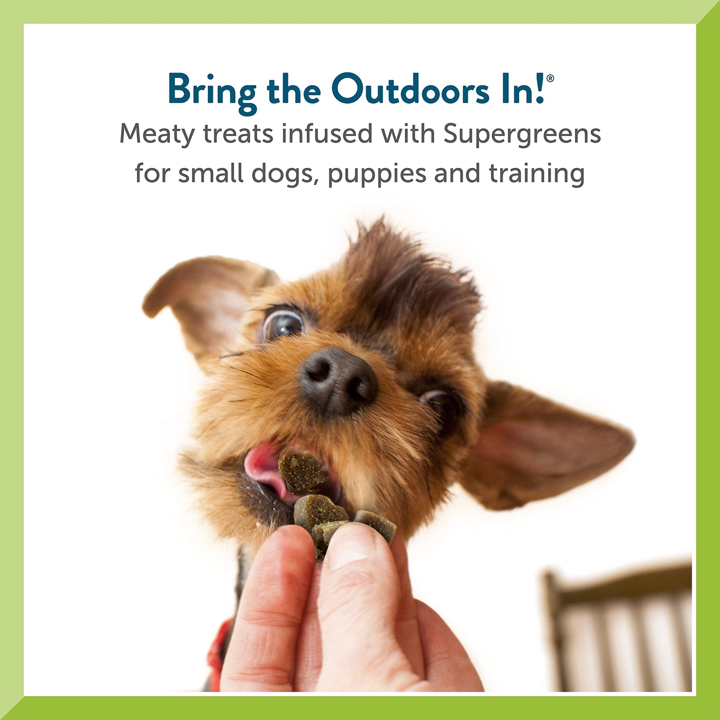 Pet Greens Natural Soft-Chew Dog Treats Infused with Supergreens - 3 Pack Bacon and Cheese 6 oz Each