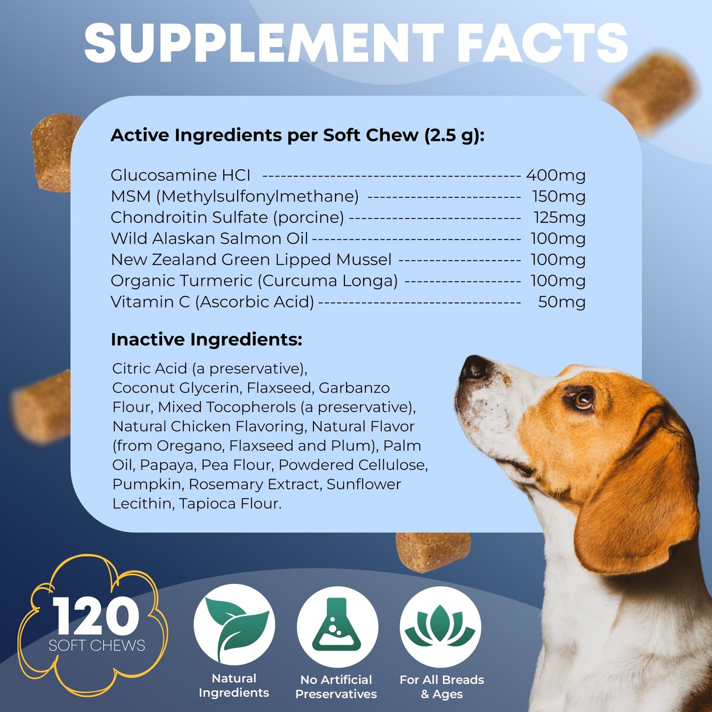 Hip and Joint Supplement for Dogs 120 Dog Chews - Advanced Glucosamine for Dogs - Chicken Flavor Hip and Joint Chews for Dogs - Dog Pain Relief Supplement - Perfect for Small to Medium and Large Breed