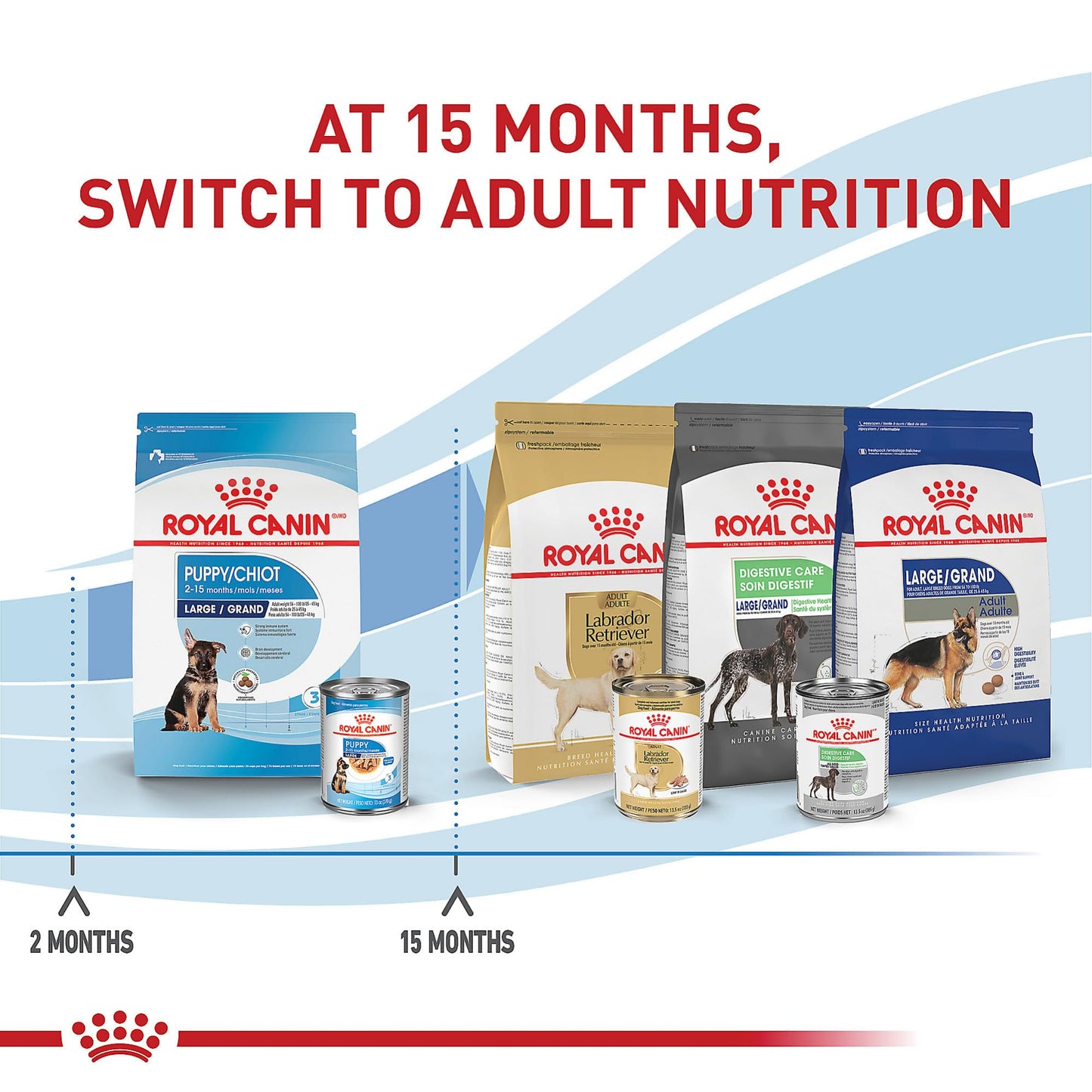 Royal Canin Size Health Nutrition Large Puppy Dry Dog Food, 4 lb Bag