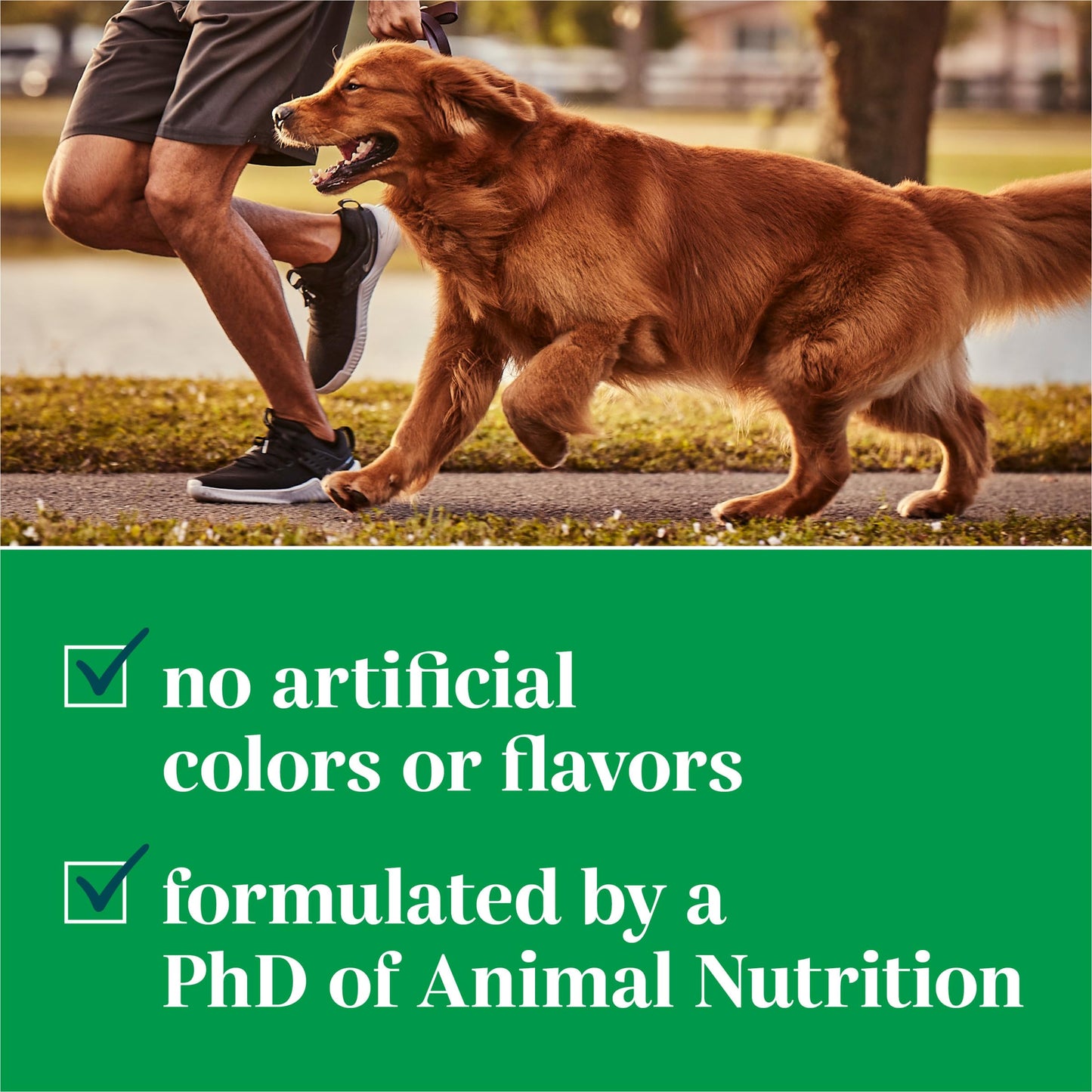 EverRoot By Purina Multi-Benefit Dog Supplements Soft Chews - 10.6 oz. Canister