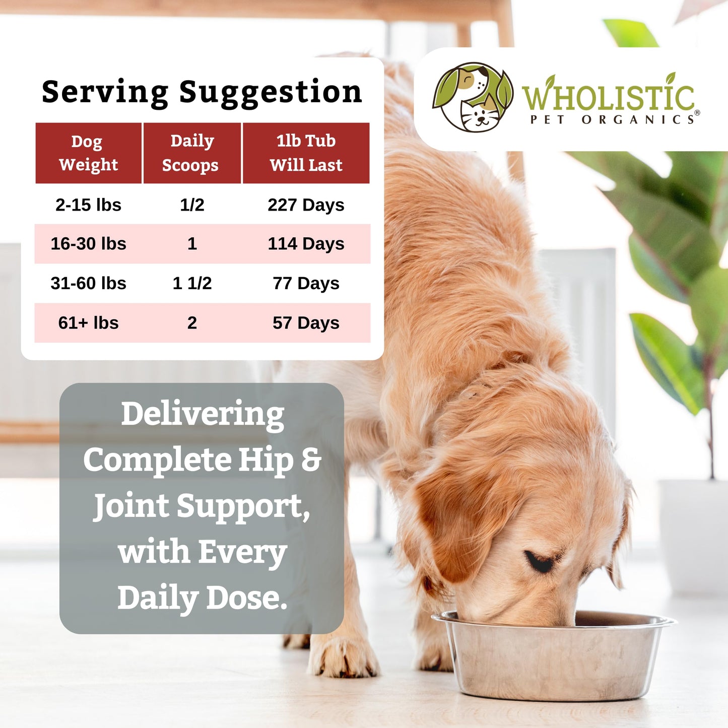 Wholistic Pet Organics Joint Supplement for Dogs - 1 Lb - Daily Dog Hip and Joint Supplement with Glucosamine Chondroitin & MSM to Support Mobility - All Breeds & Ages - Organic Glucosamine for Dogs