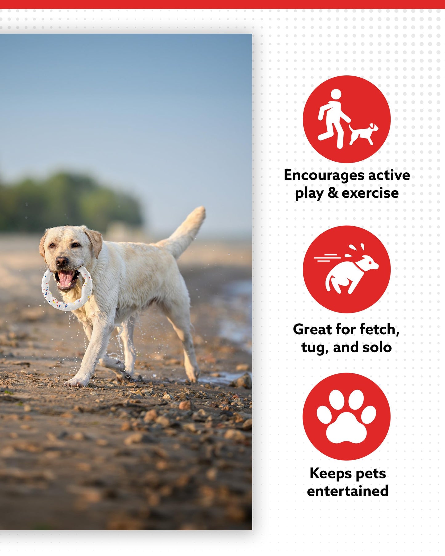 ALPI Chomp Ring - Durable, Soft, & Squishy Bite Puppy Toys for Dogs & Other Pets - Stimulating Dog Toys for Sensory Play & Fun (Large)