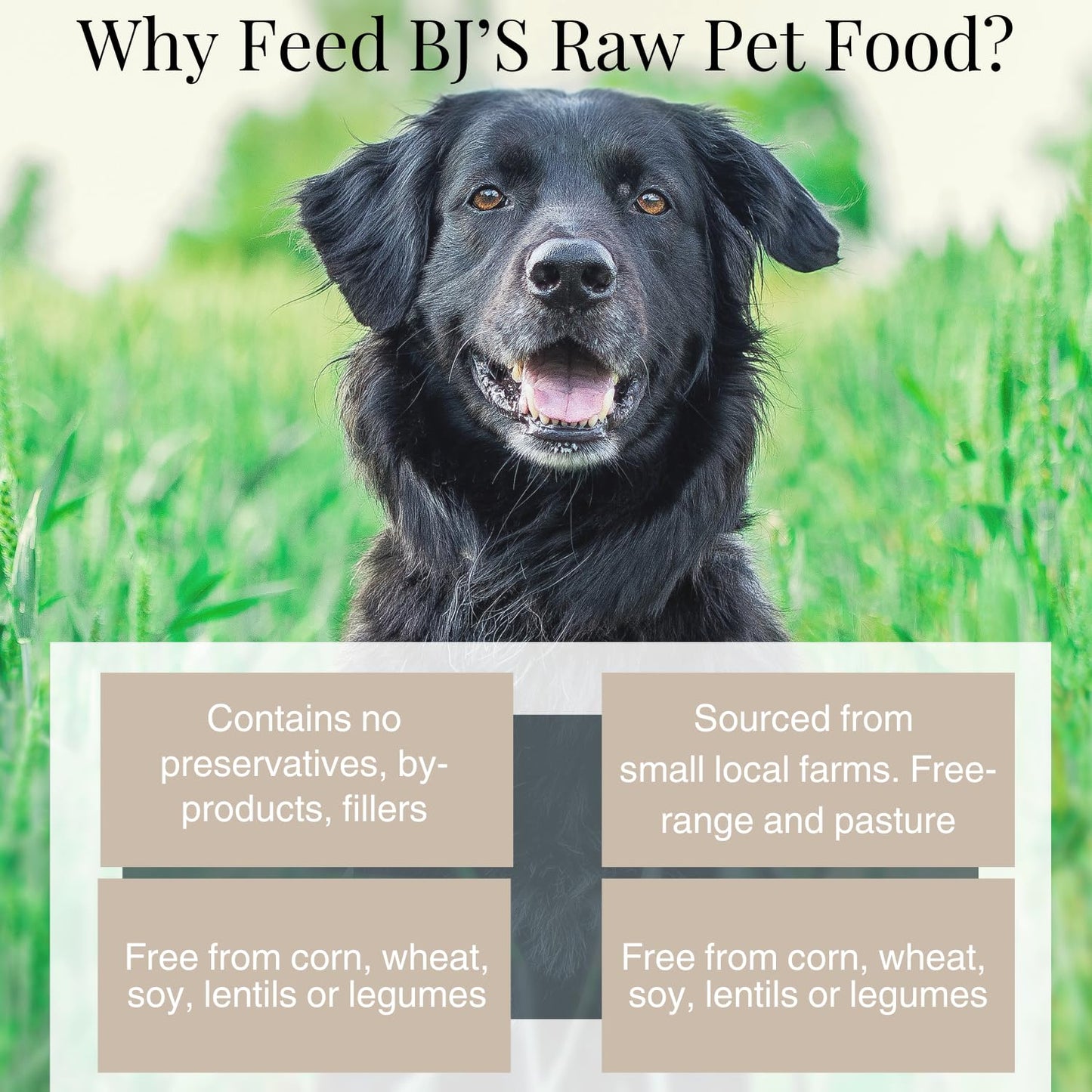BJ'S RAW PET FOOD Freeze Dried Vitality Complete Mix Protein Rich Nutritious Meal for Optimal Health Made in USA, 14-Ounce