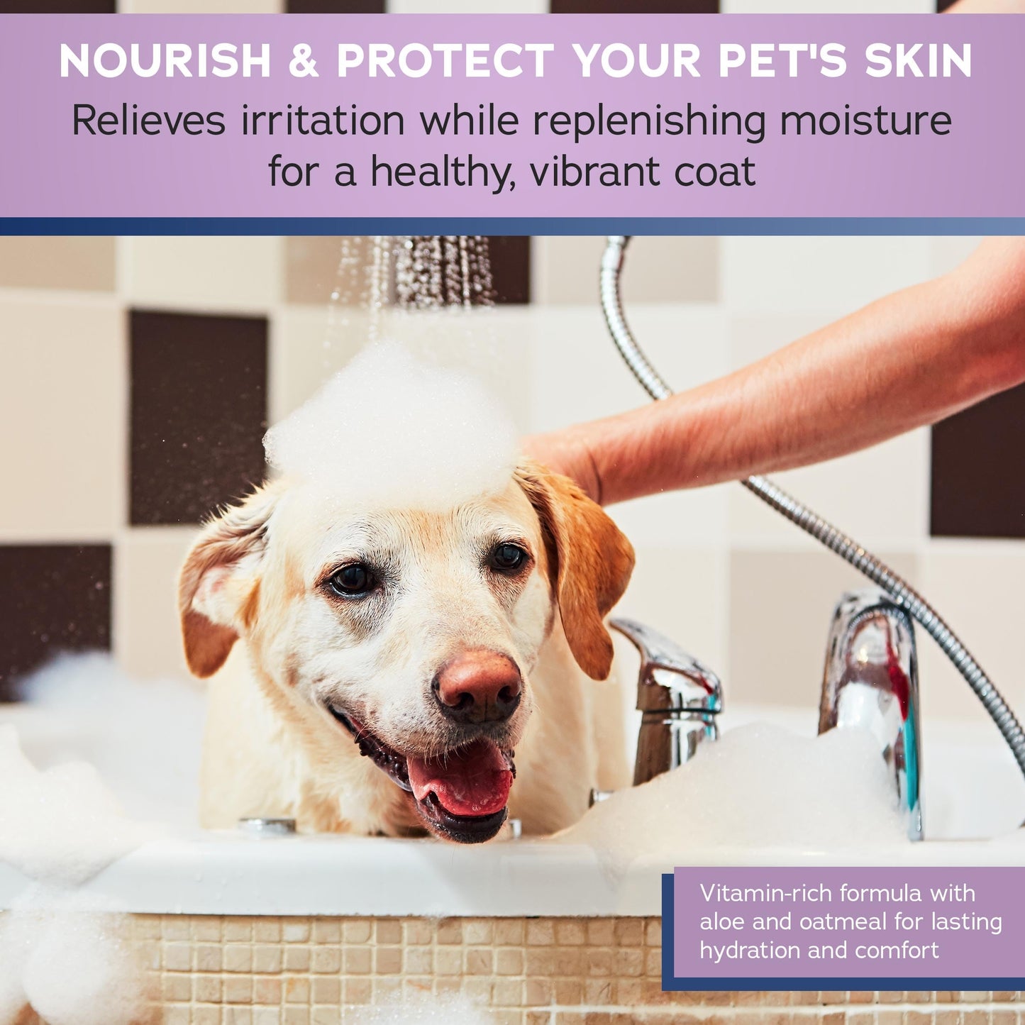 Stratford Pharmaceuticals Oatmeal Shampoo - Soap Free, Soothes Sensitive Skin with Aloe for Itchy Dry Skin for Dogs and Cats, 12 oz