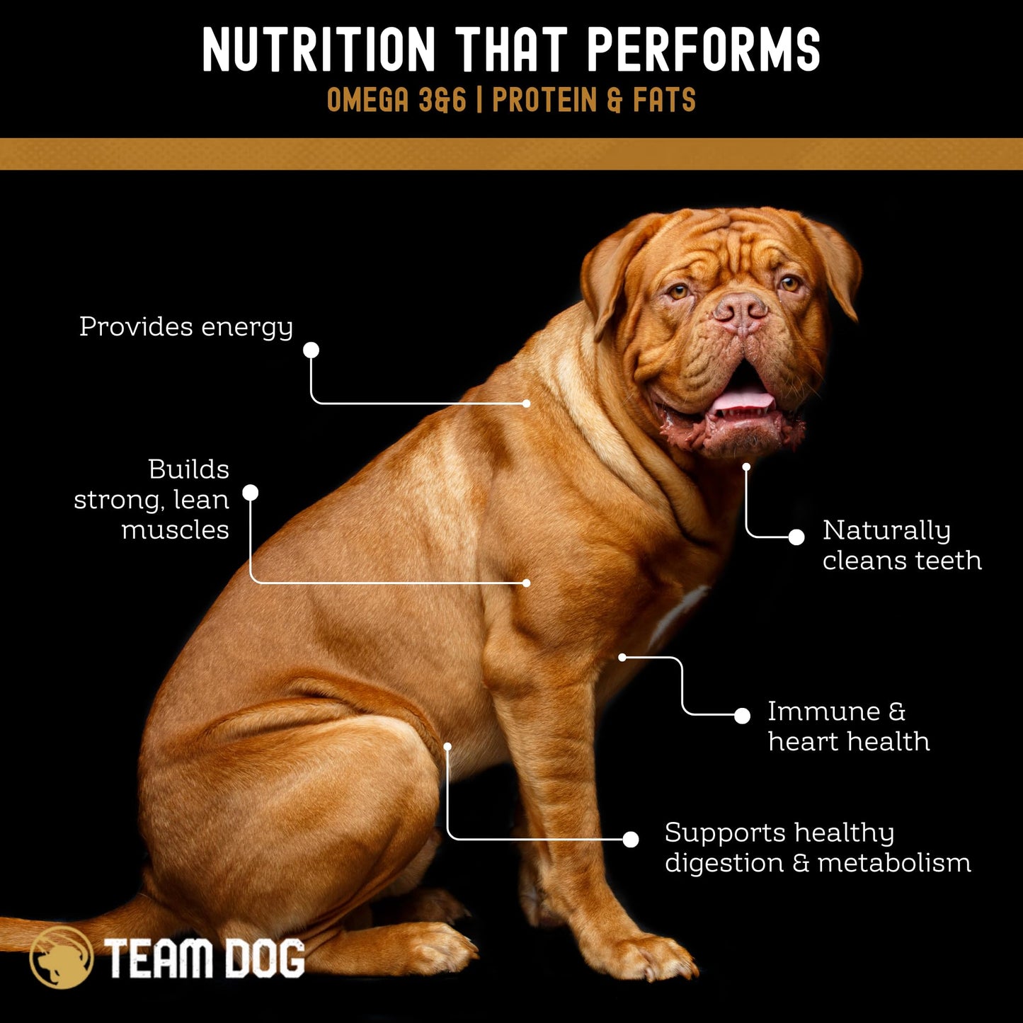 Team Dog Lamb & Salmon Dog Freeze-Dried Raw Treats | Soft Dog Treats & Grain Free Dog Food Topper | USA-Sourced Salmon & Lamb for Cleaner Teeth, Digestive Health & Muscle Growth | 13 oz Bulk Size