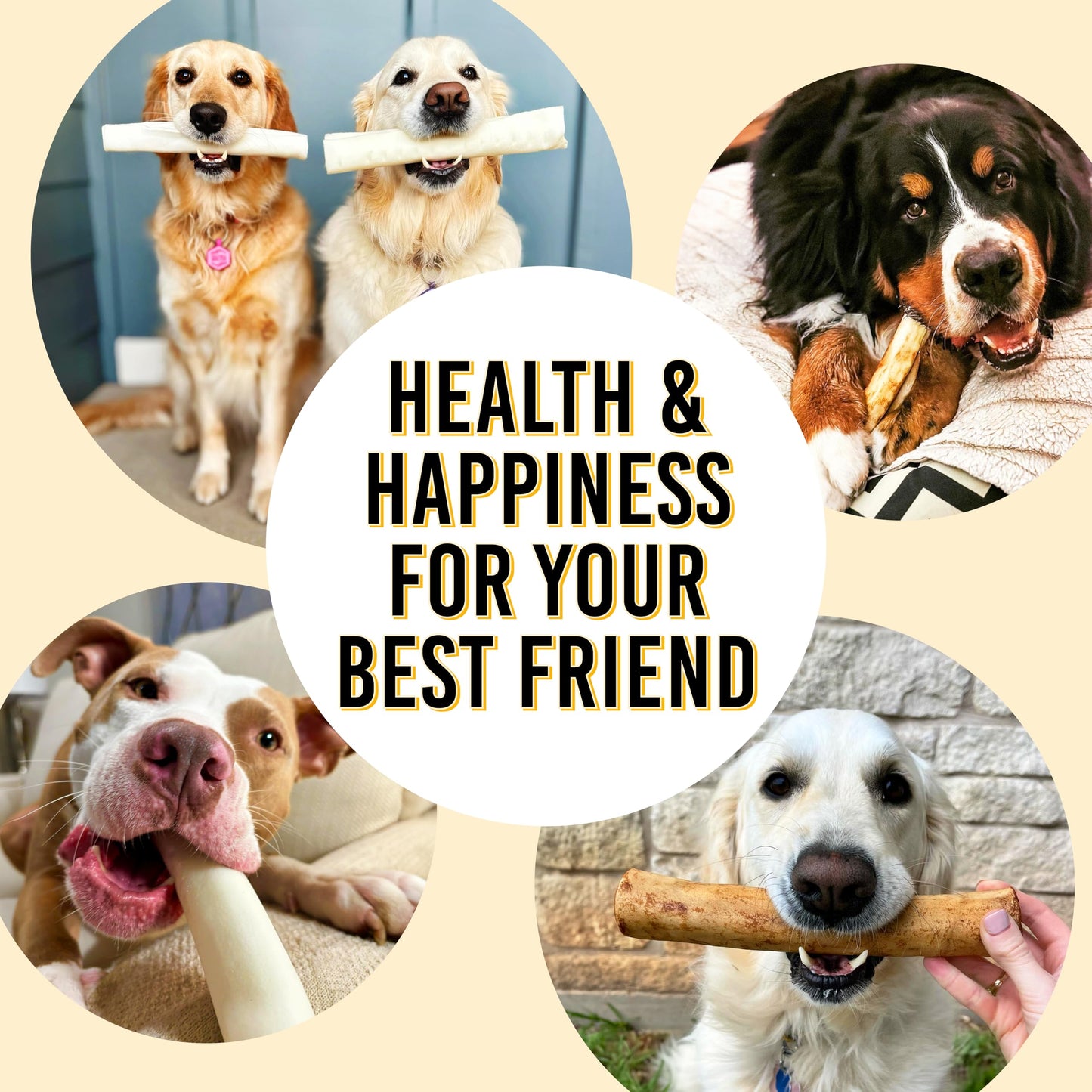 FIDELIS Rawhide Free Dog Chews Long Lasting, Treat Sticks, Dog Treats, Small & Large Dogs, Beef Collagen, Gluten Free, Grain Free, Pet Chew, Bones-Alternative, Made in USA, 4pk, Chicken, 10"