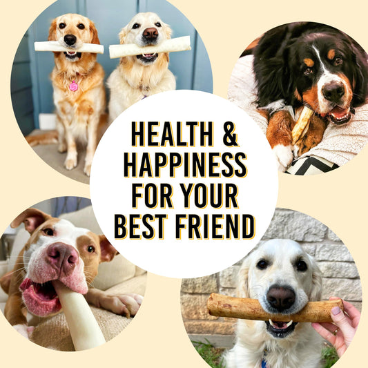 FIDELIS Rawhide Free Dog Chews Long Lasting, Treat Sticks, Dog Treats, Small & Large Dogs, Beef Collagen, Gluten Free, Grain Free, Pet Chew, Bones-Alternative, Made in USA, 4pk, Chicken, 10"