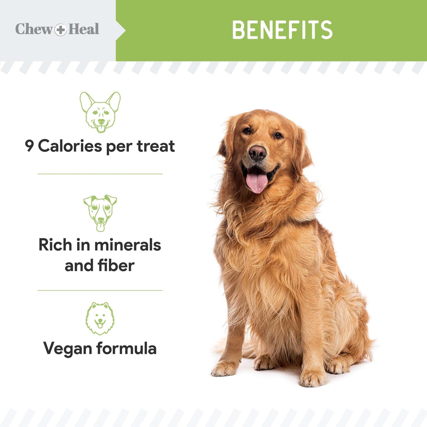 Chew + Heal Labs Low Calorie Dog Jerky Treats - 12 oz of Vegan Plant Based Natural Dog Treats with Chia Seeds, Fruits, and Vegetables - Good for Weight Management - Made in The USA