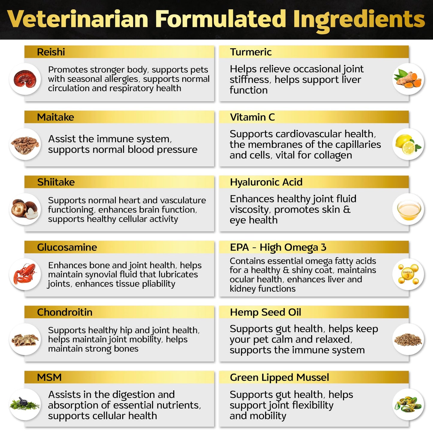 Life4Legs - Soft Chews Hip and Joint Supplement for Dogs - Dog Joint Pain Relief Treats - Glucosamine, Chondroitin, Turmeric- Mobility Supplement
