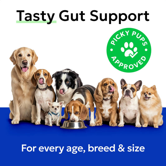 BARK&SPARK Pumpkin Powder for Dogs - 8oz Powdered High Fiber Supplement and Stool Softener - Upset Stomach, Food Sensitivity - Improve Digestion - 8oz