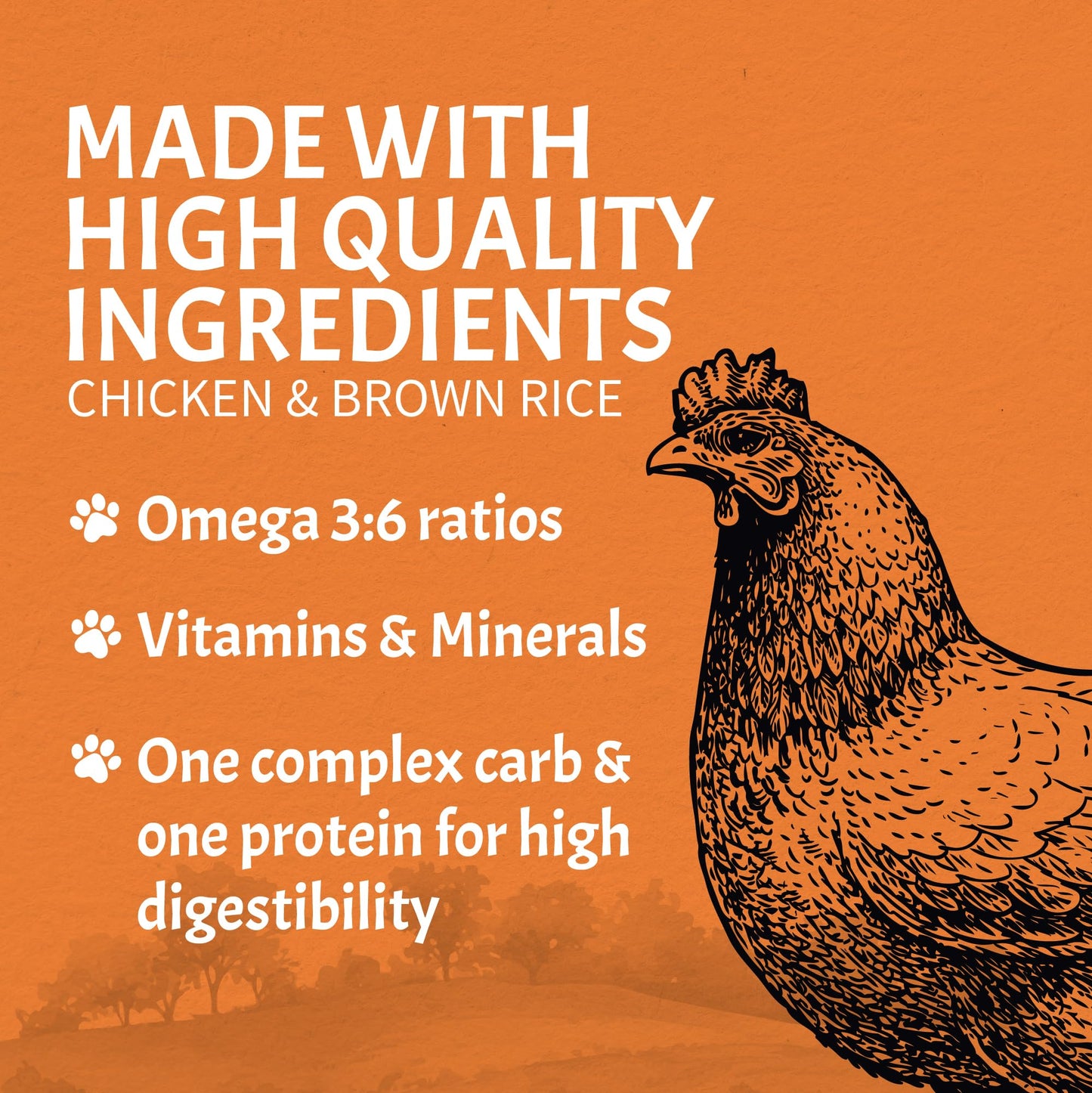 Canine Caviar - Special Needs: Chicken & Brown Rice Alkaline Dry Dog Food, Limited Ingredients, Gluten-Free, Based on Science & Research, Veterinary Alternative Diet (11 Pound Bag)