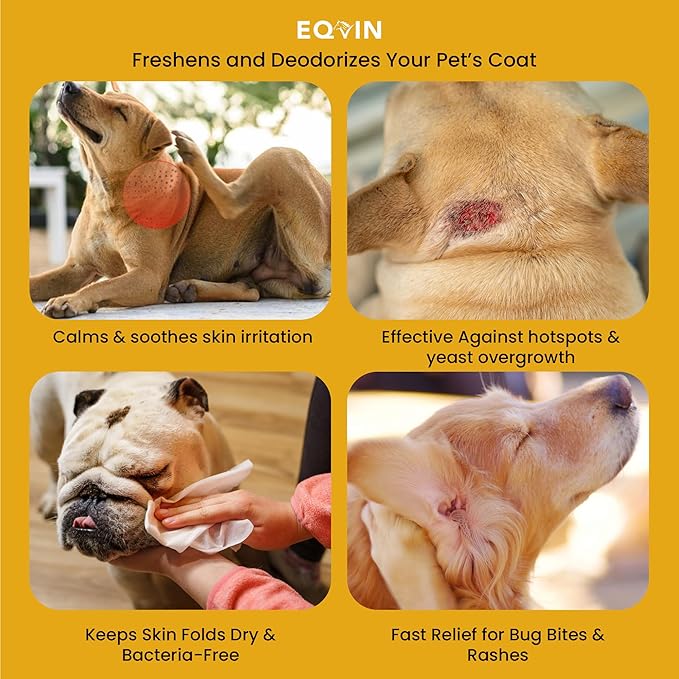 Dog Coat Care Powder | Made in USA | Waterless Dry Shampoo & Deodorizer for Smelly Dogs, Anti-Itch Relief for Dry Itchy Skin, No Rinse Formula with Lavender Oil & Bentonite Clay