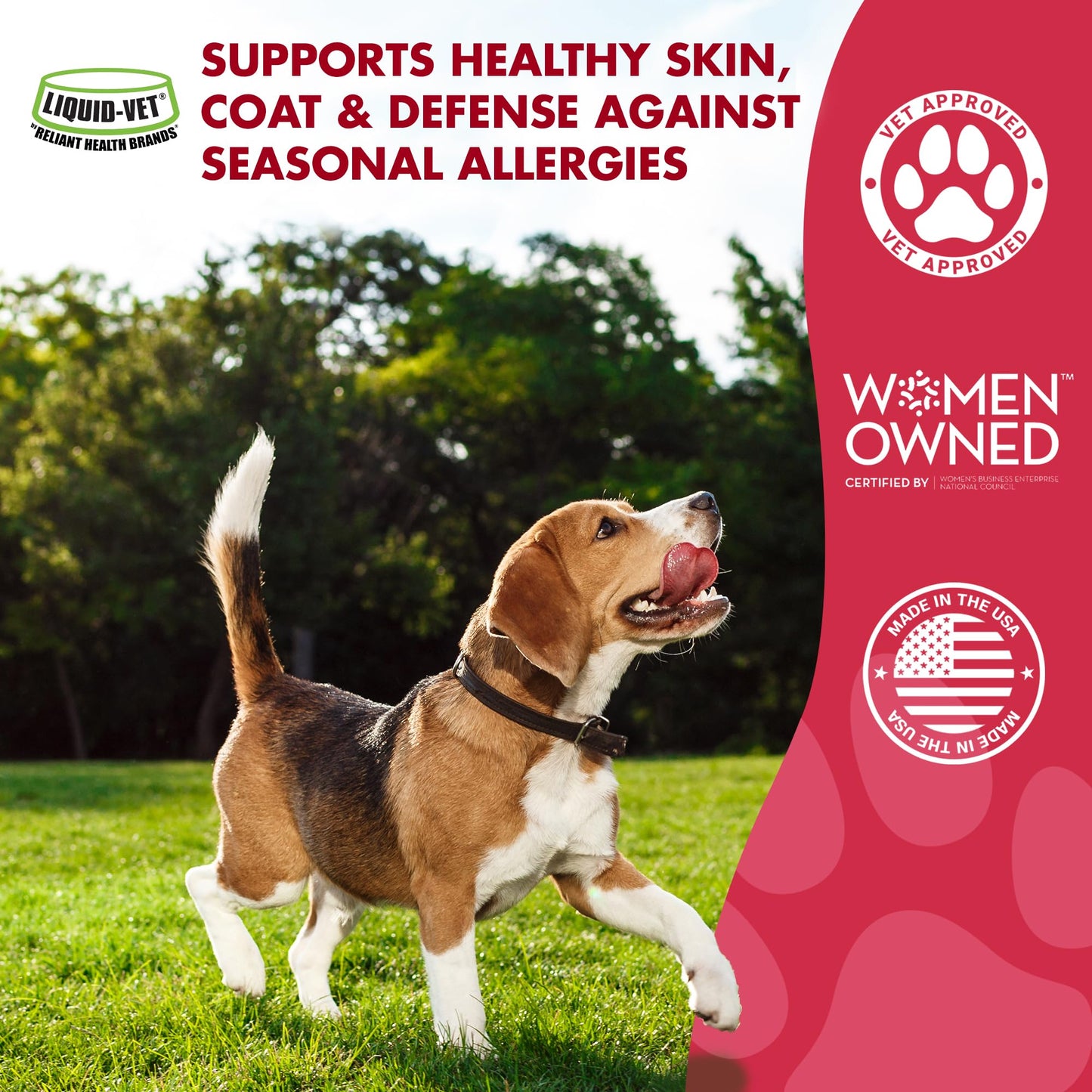 LIQUID-VET K9 Itch & Allergy Advanced Formula, Anti-Itch & Allergy Support with Omega-3s Fish Oil, MSM, Vitamin E, and Hyaluronic Acid - Dog Care Essentials for Dry, Sensitive Skin