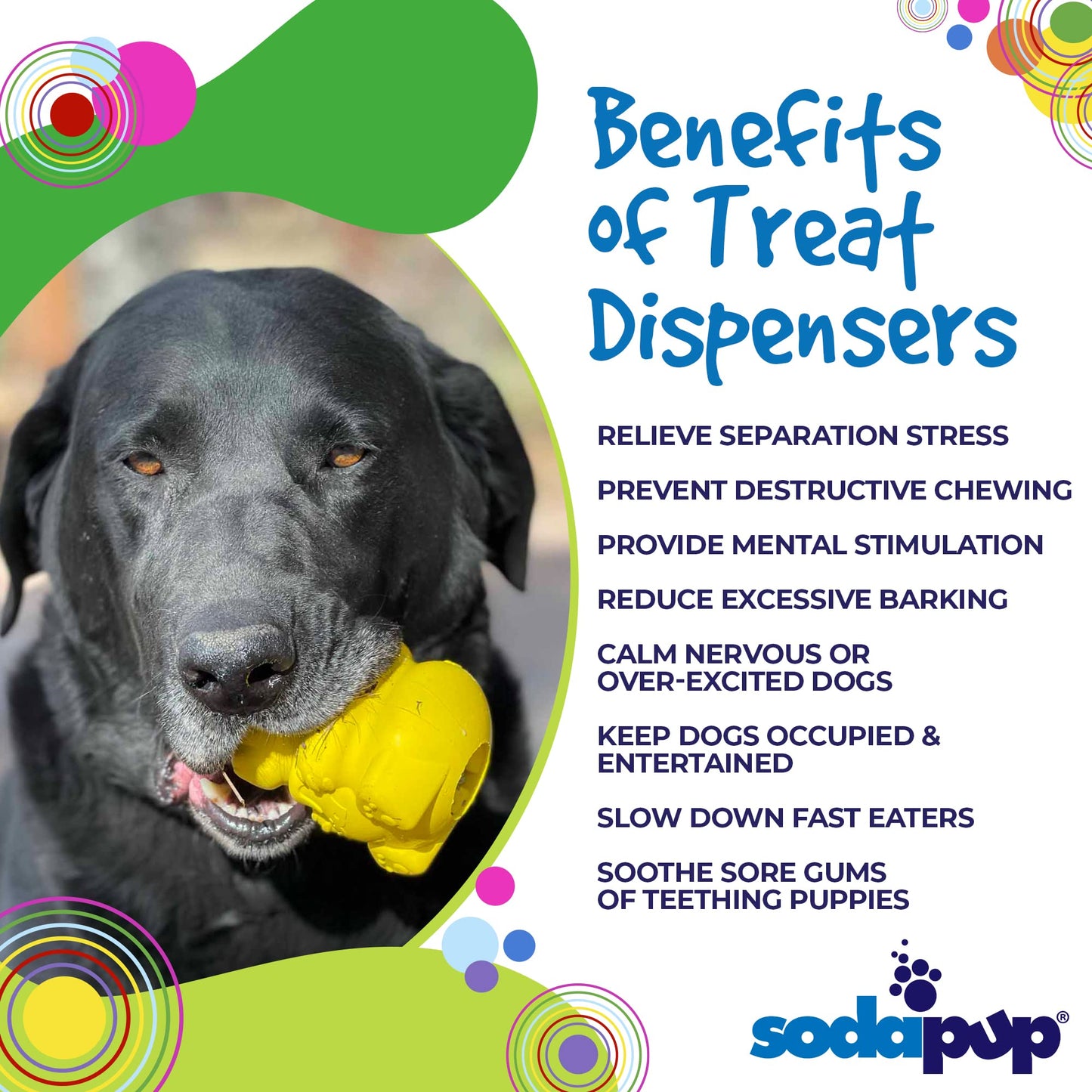 SodaPup Honey Bear – Durable Dog Treat Dispenser & Chew Toy Made in USA from Non-Toxic, Pet Safe, Food Safe Natural Rubber Material for Mental Stimulation, Problem Chewing, Calming Nerves, & More