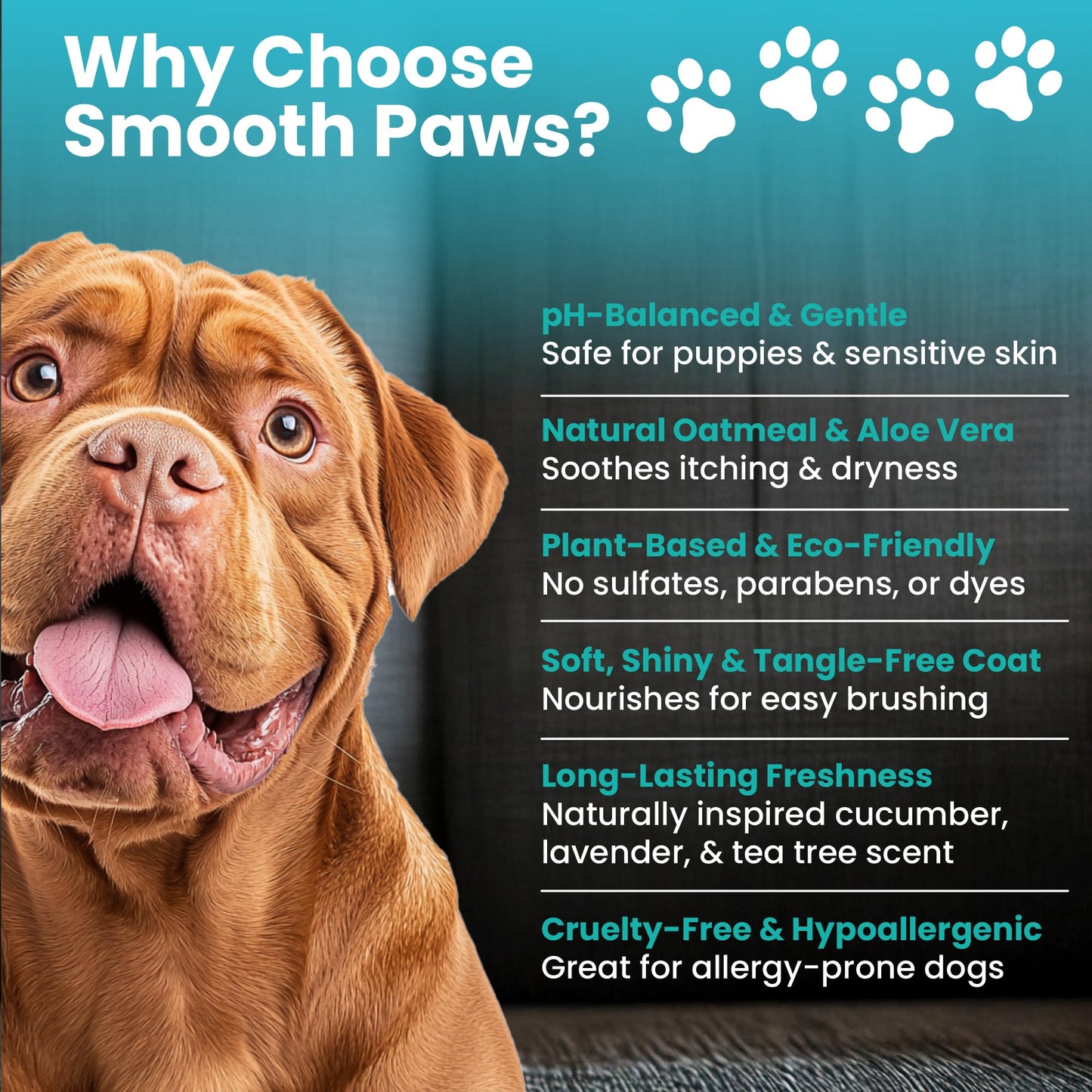 2-in-1 Natural Dog Shampoo & Conditioner – pH-Balanced for Dogs & Puppies | Gentle Oatmeal & Aloe Vera Formula for Sensitive Skin | Spiced Cucumber, Lavender & Tea Tree Scent | 16.9 oz | Smooth Paws