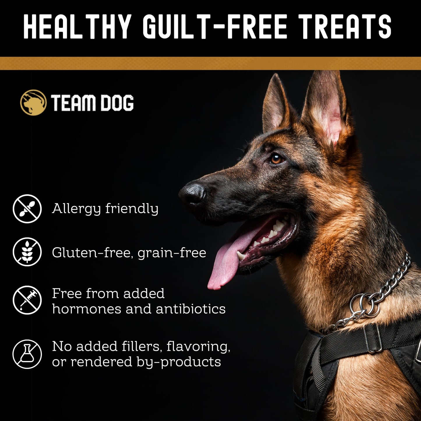 Team Dog Lamb & Salmon Dog Freeze-Dried Raw Treats | Soft Dog Treats & Grain Free Dog Food Topper | USA-Sourced Salmon & Lamb for Cleaner Teeth, Digestive Health & Muscle Growth | 13 oz Bulk Size