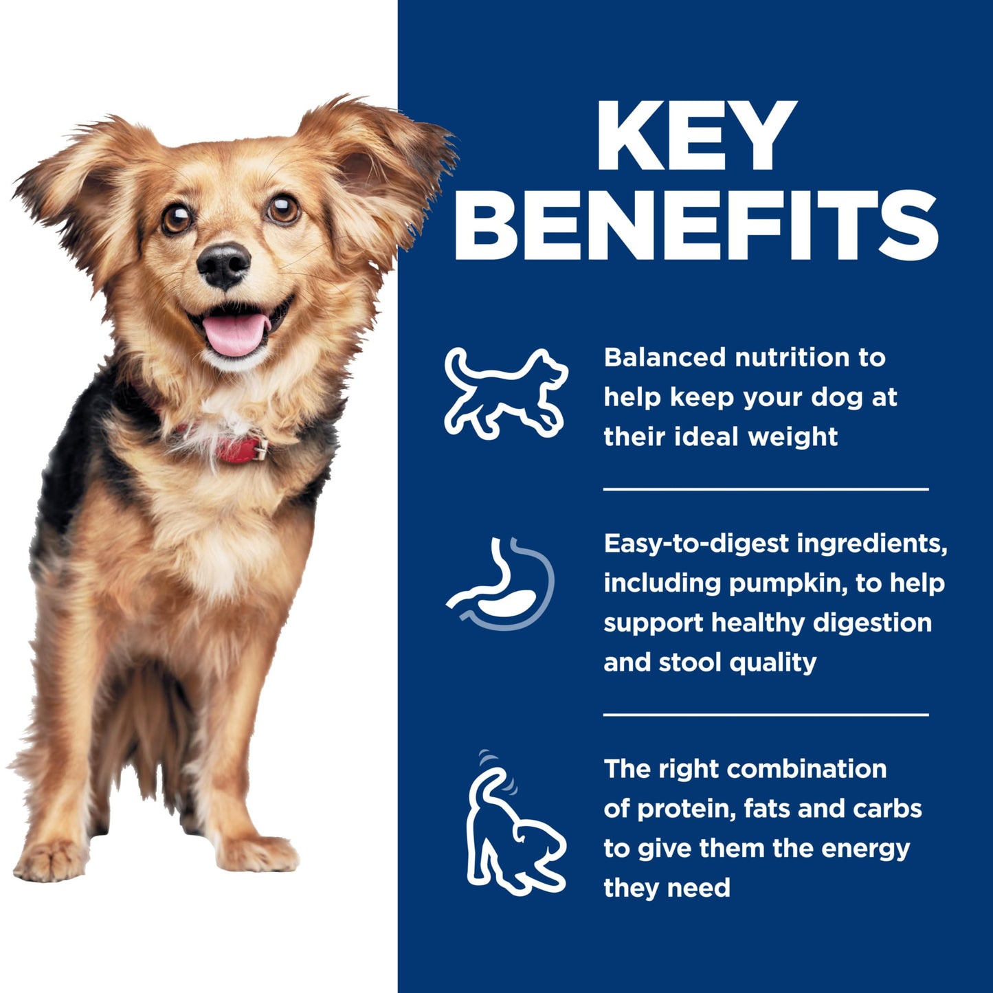 The Honest Kitchen Human Grade Dehydrated Grain Free Fruit & Veggie Base Mix Dog Food (Just Add Protein) - 7 Pound Box (Makes 12 Pounds)