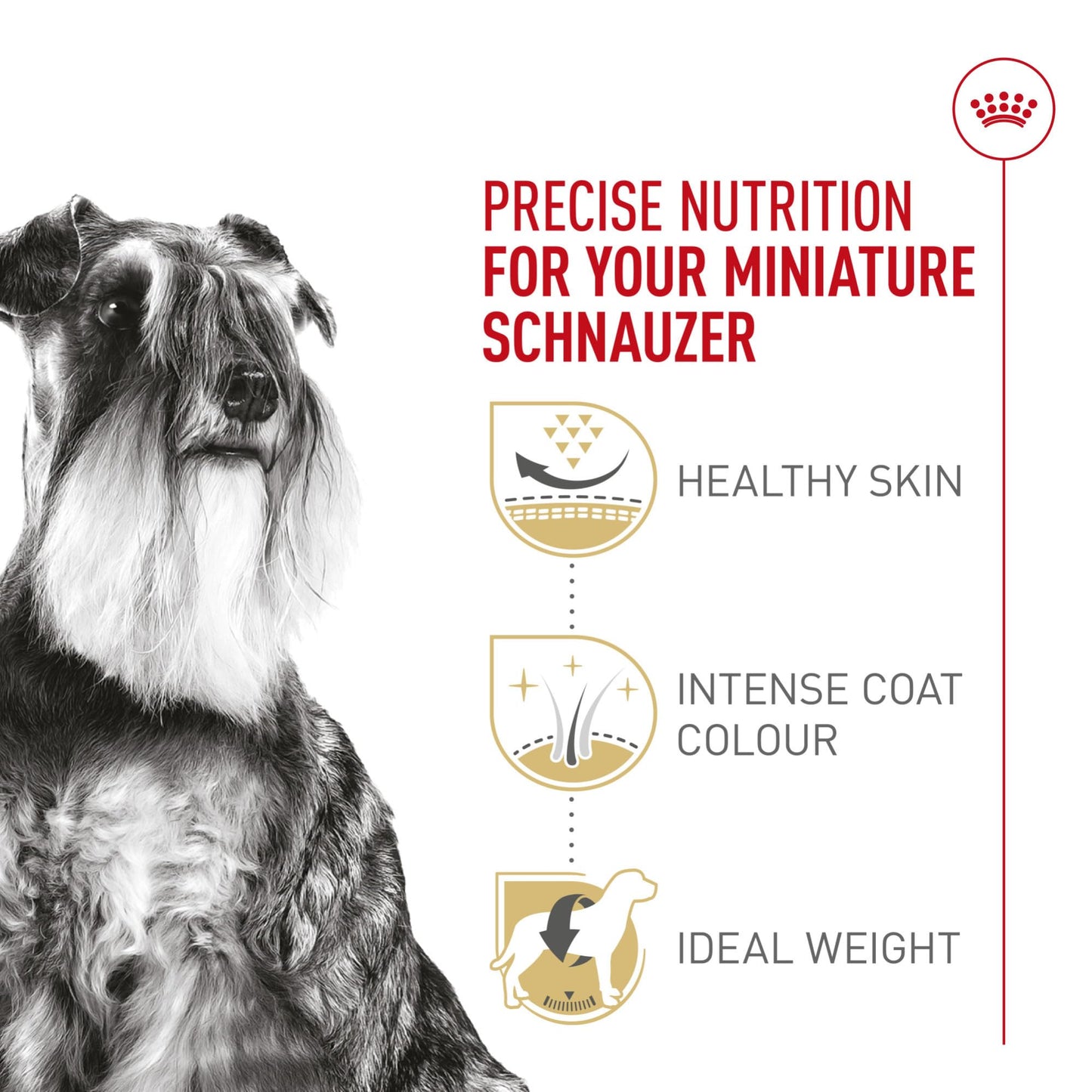 Royal Canin Miniature Schnauzer Adult Breed Specific Dry Dog Food, 10 lb Bag