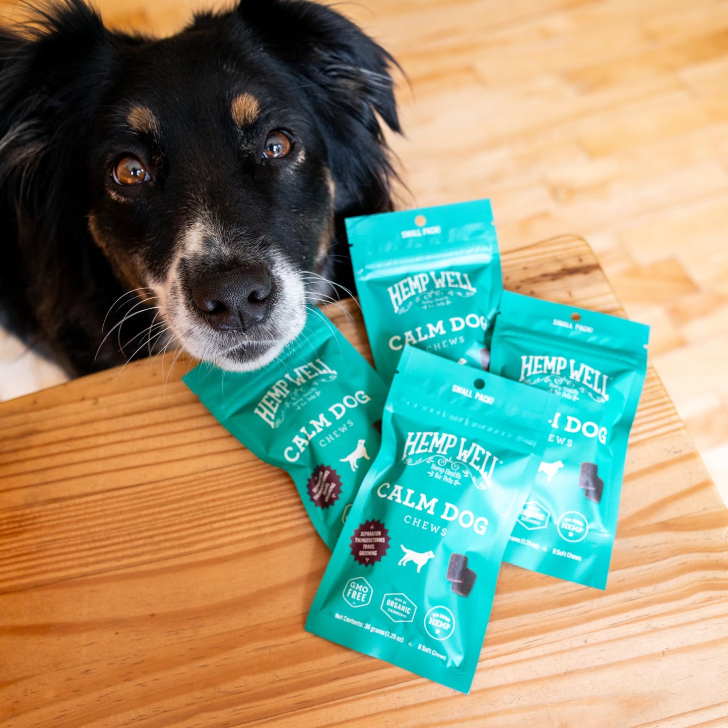 Hemp Well Calm Dog Soft Chews: Organic Hemp Infused with Melatonin - Calming Chews for Separation, Thunderstorms, and Stress - 8 Chews