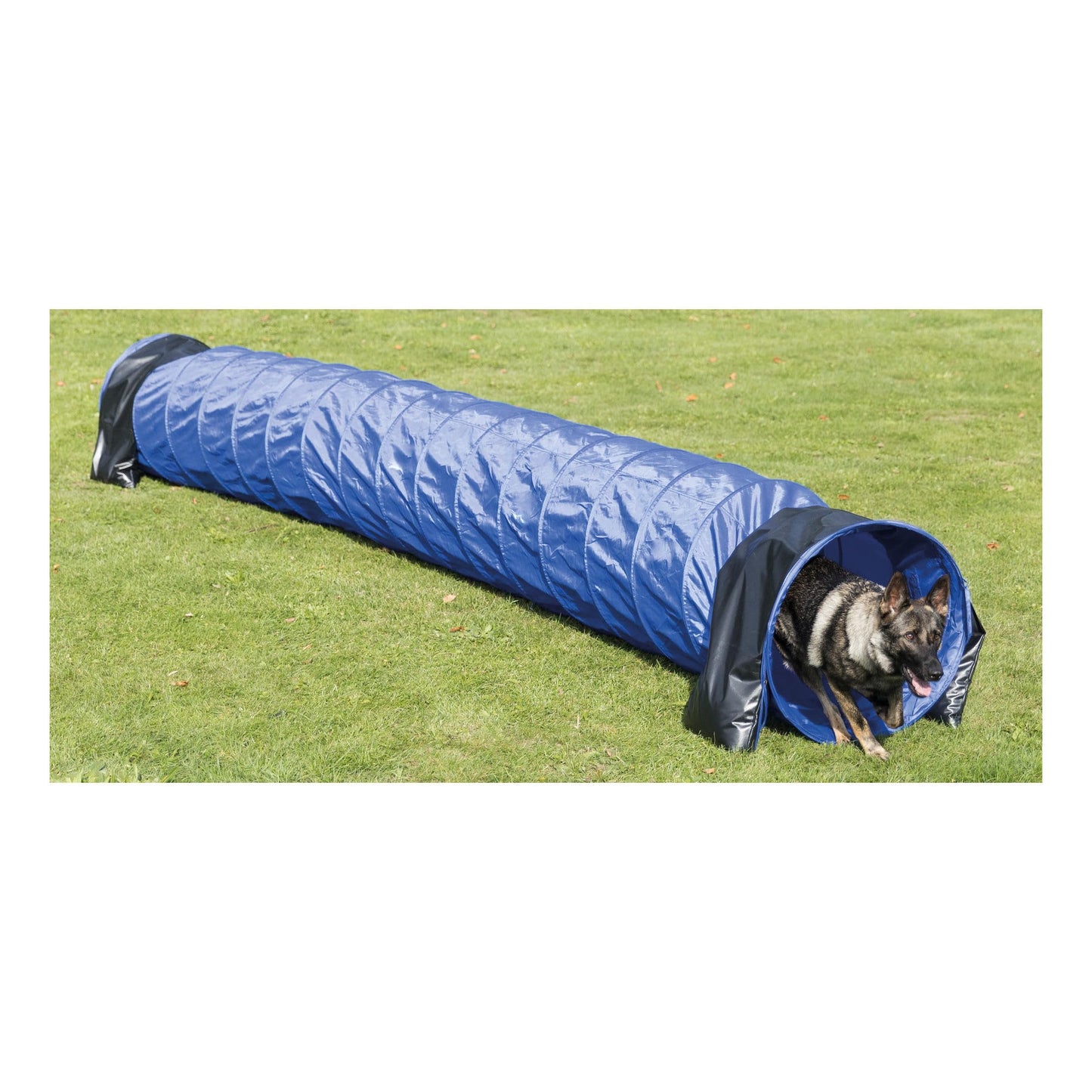 TRIXIE Dog Agility Tunnel– Dog Tunnel for Large Dogs Agility Training, Portable Dog Tunnel 196.9 in Long & 23.6 in Diameter, Dog Agility Equipment for Beginners & Advanced