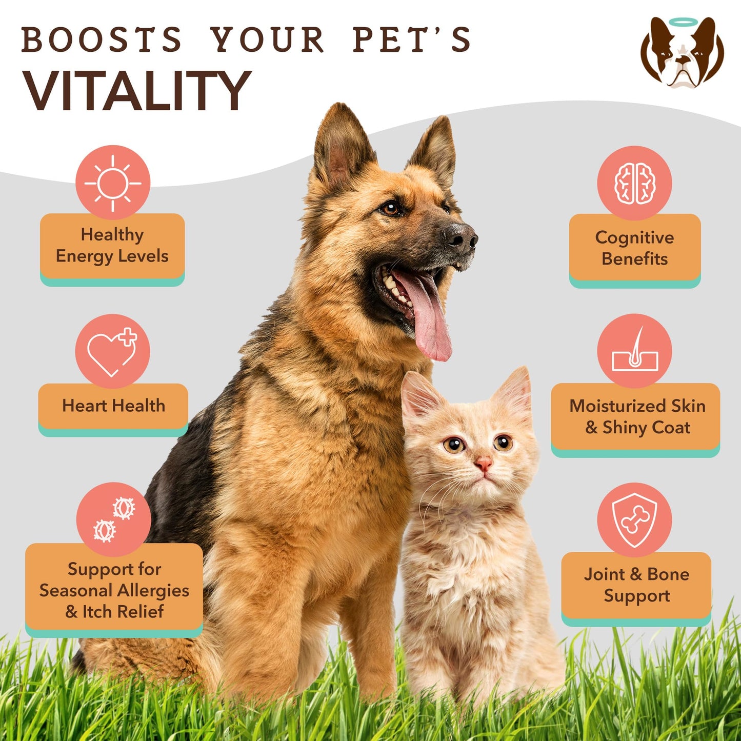 Natural Dog Company Healthy Joints Bundle, Includes (1) Wild Alaskan Salmon Oil - 16 oz., (1) Hip and Joint Chews Supplement - 90 pcs, Vitamins for Dogs, Fish Oil for Dogs