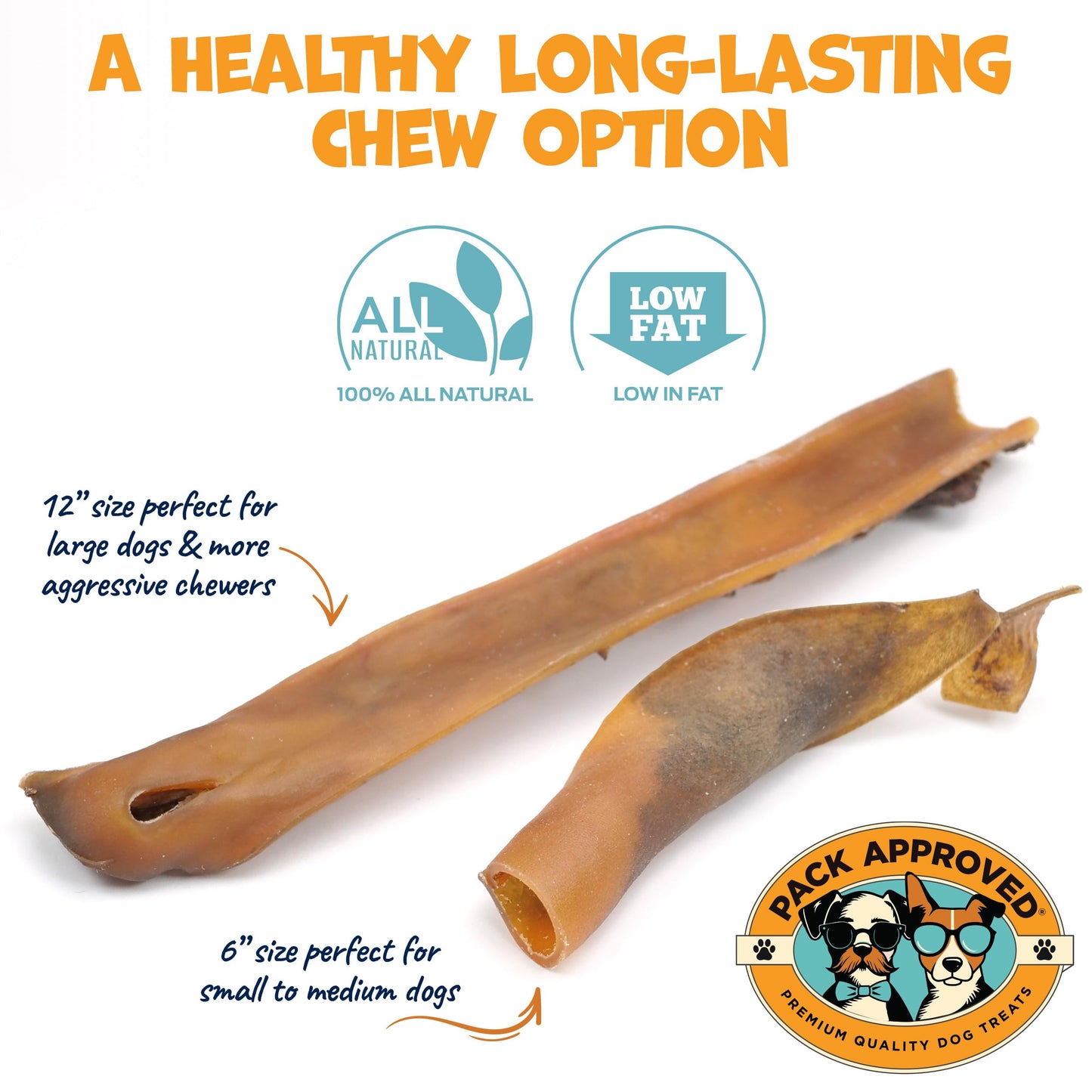 Pack Approved Camel Skin Dog Chews for Aggressive Chewers - Hypoallergenic Natural Collagen Sticks for Dental Health & Protein Boost - Long Lasting Treats for Large Dogs