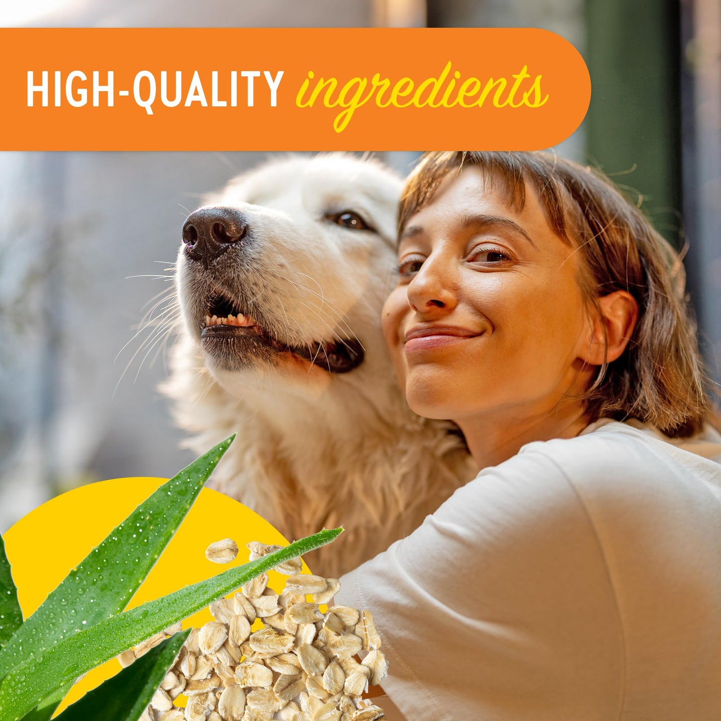 Dogtopia Everyday Aloe & Oatmeal Conditioner – 16oz Piña Colada Scent | Nourishing Pet Combo for Dogs and Pets | Rich with Soothing Emollients | Alcohol-Free, Soapless & Tearless