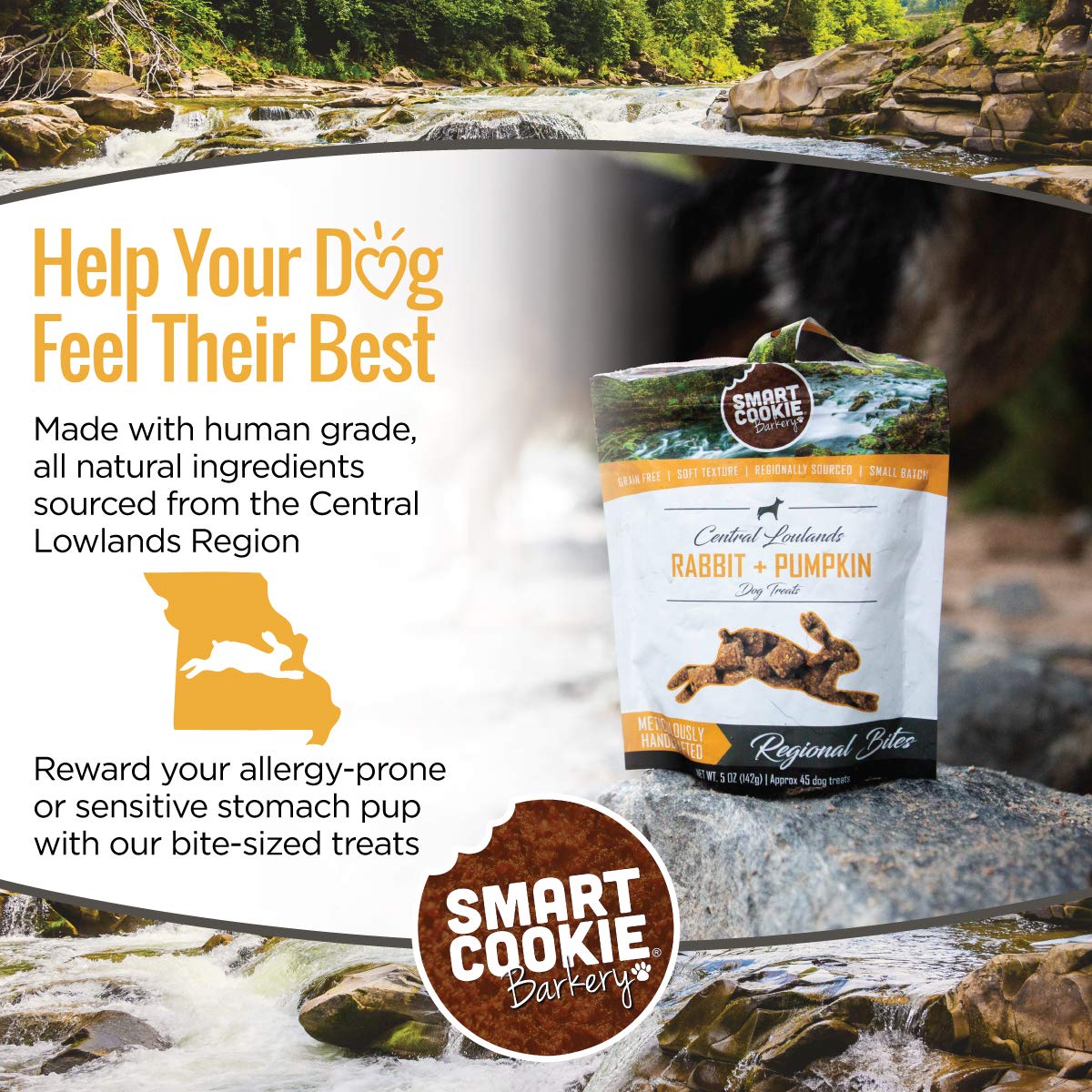 Smart Cookie All Natural Dog Treats - Rabbit & Pumpkin - Training Treats for Dogs & Puppies with Allergies, Sensitive Stomachs - Soft Dog Treats, Grain Free, Chewy, Human-Grade, Made in USA - 5oz Bag