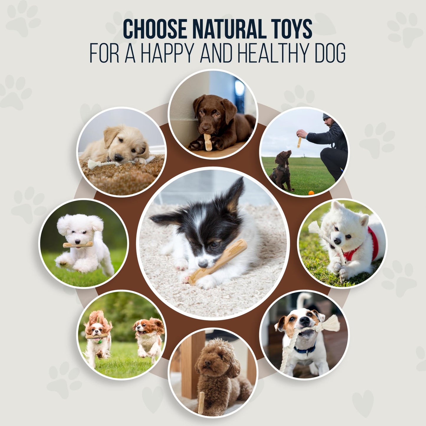 GOWGOW 4 Pack Real Coffee Wood Stick for Dogs 15-40 lbs, Puppy Teething Toys, 100% Natural Puppy Wood Chew Toys, Stress Relief - Woodden Bones for Dogs - Natural Rope Toys