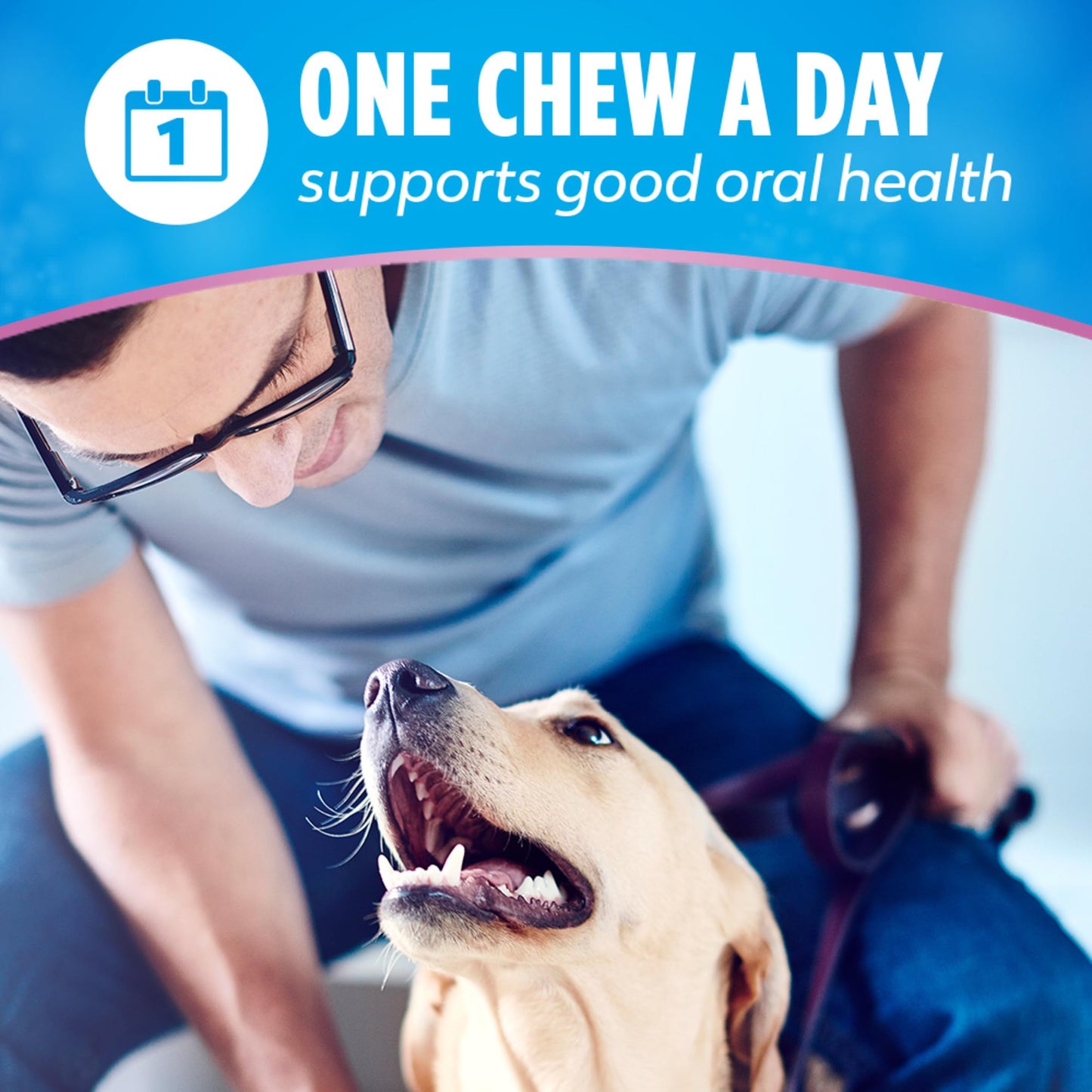 DentaLife Plus Digestive Support Dog Treats for Small and Medium Dogs, Cleans Teeth, Freshens Breath, & Supports Healthy Gut, Chicken & Pumpkin Flavor, 14.4 oz., 19 Chews - 19 ct. Pouch