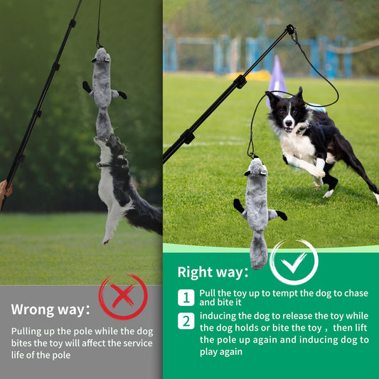 AmaCielo Flirt Pole for Dogs, Interactive Toys Tug-of-war for Dogs, Five-Section Retractable Adjustable Length,for Outdoor Exercise & Training for Small Medium Large Dogs