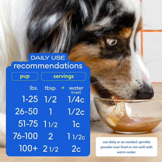 Native Pet Omega Oil for Dogs (8 oz.) & Beef Bone Broth for Dogs (4.75 oz.) - Made with Wild Alaskan Salmon Oil for Dogs - EPA DHA and Dog Bone Broth Powder Food Topper for Picky Eater