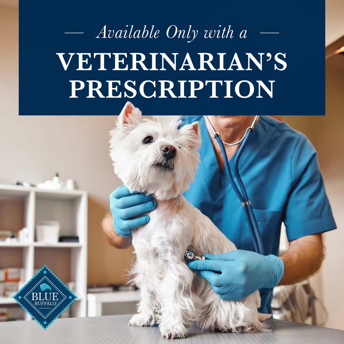 Blue Buffalo Natural Veterinary Diet KS Kidney Support Dry Dog Food, Veterinarian Prescription Required, Chicken, 6-lb Bag