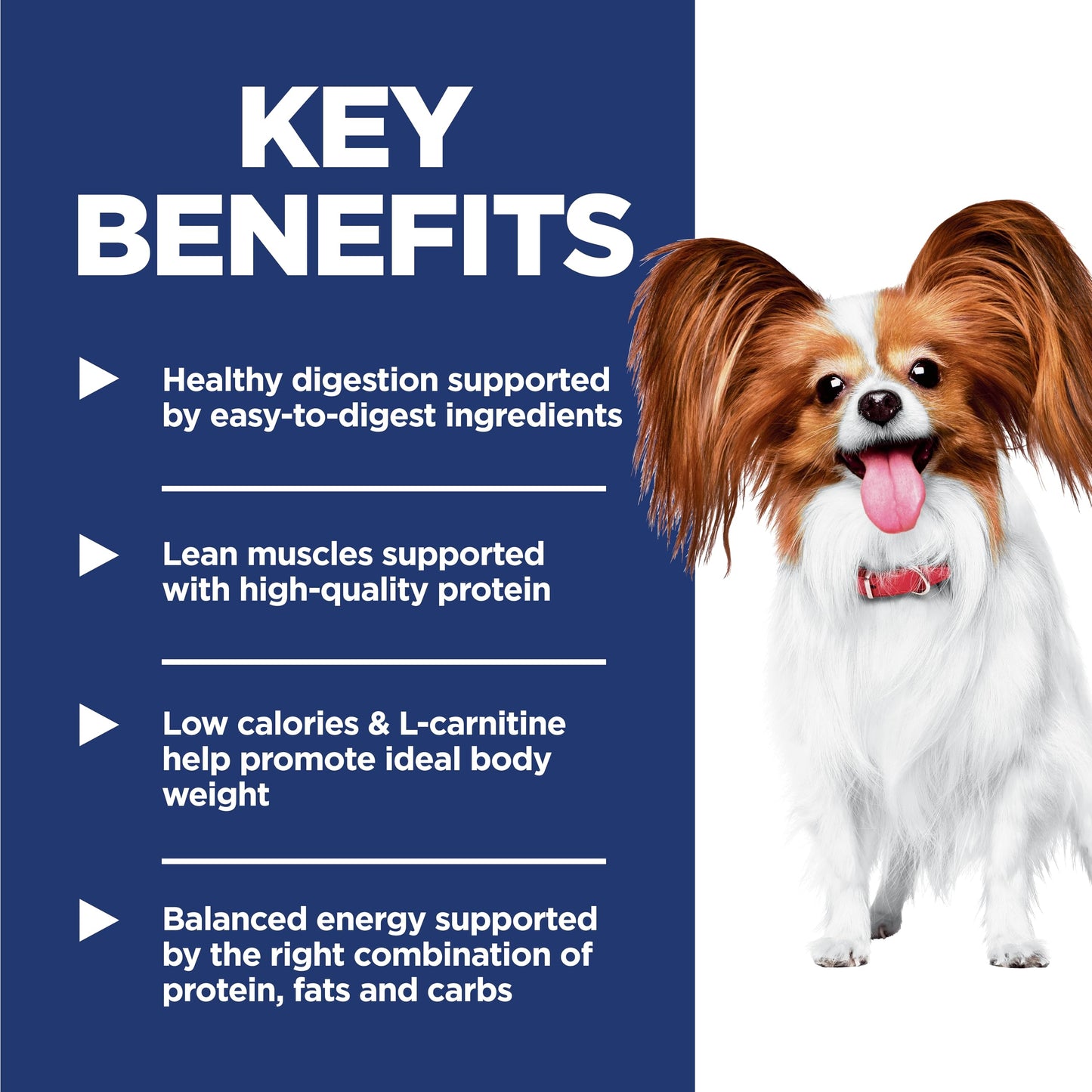 Hill's Science Diet Light , Adult 1-6, Small & Mini Breeds Weight Management Support, Dry Dog Food, Chicken & Barley, 4.5 lb Bag