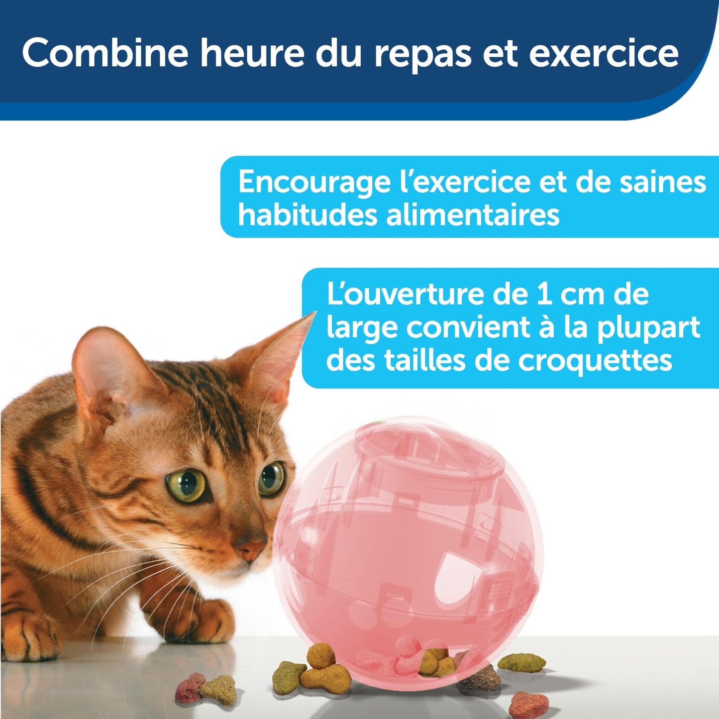 PetSafe SlimCat Interactive Feeder - Combines Play with Mealtime - Adjustable Portions - BPA-Free Plastic - Slow Feeder for Digestion - Lightweight, Dishwasher-Safe Toy - Pink